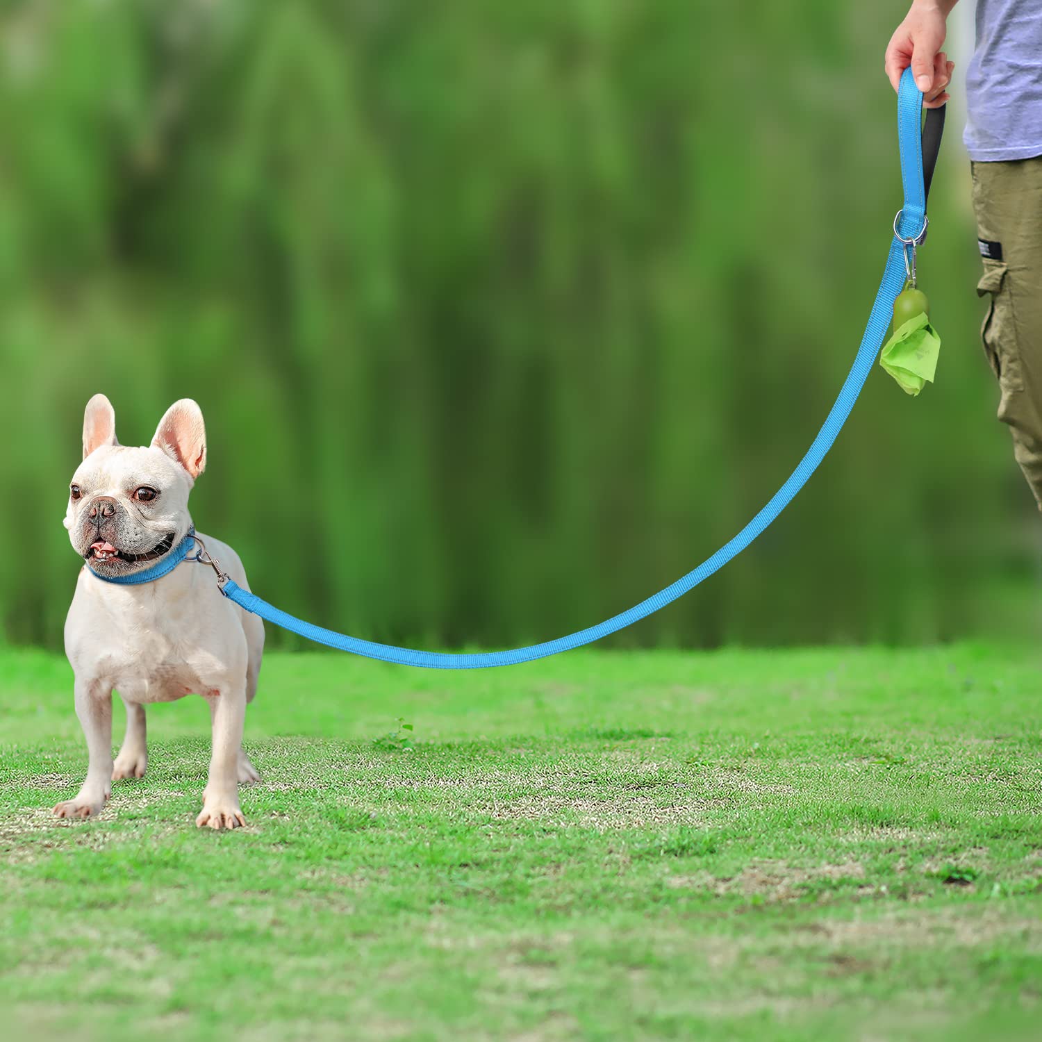 Joytale Double-Sided Reflective Dog Leash, 6 Ft/5 Ft/4 Ft, Padded Handle Nylon Dogs Leashes For Small & Medium Dogs Walking, Sky Blue, 5Ft