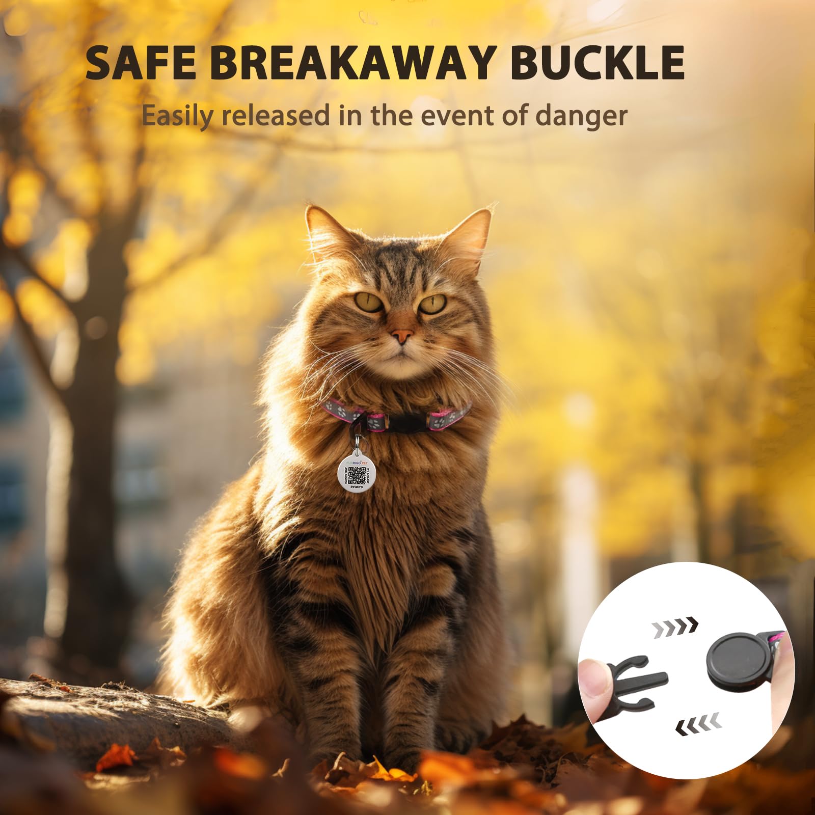 Cat Collar Breakaway With Qr Code Name Tag, Reflective Kitten Collars With Bell, Cat Id Tag Personalized, Ultra-Durable, Adjusta