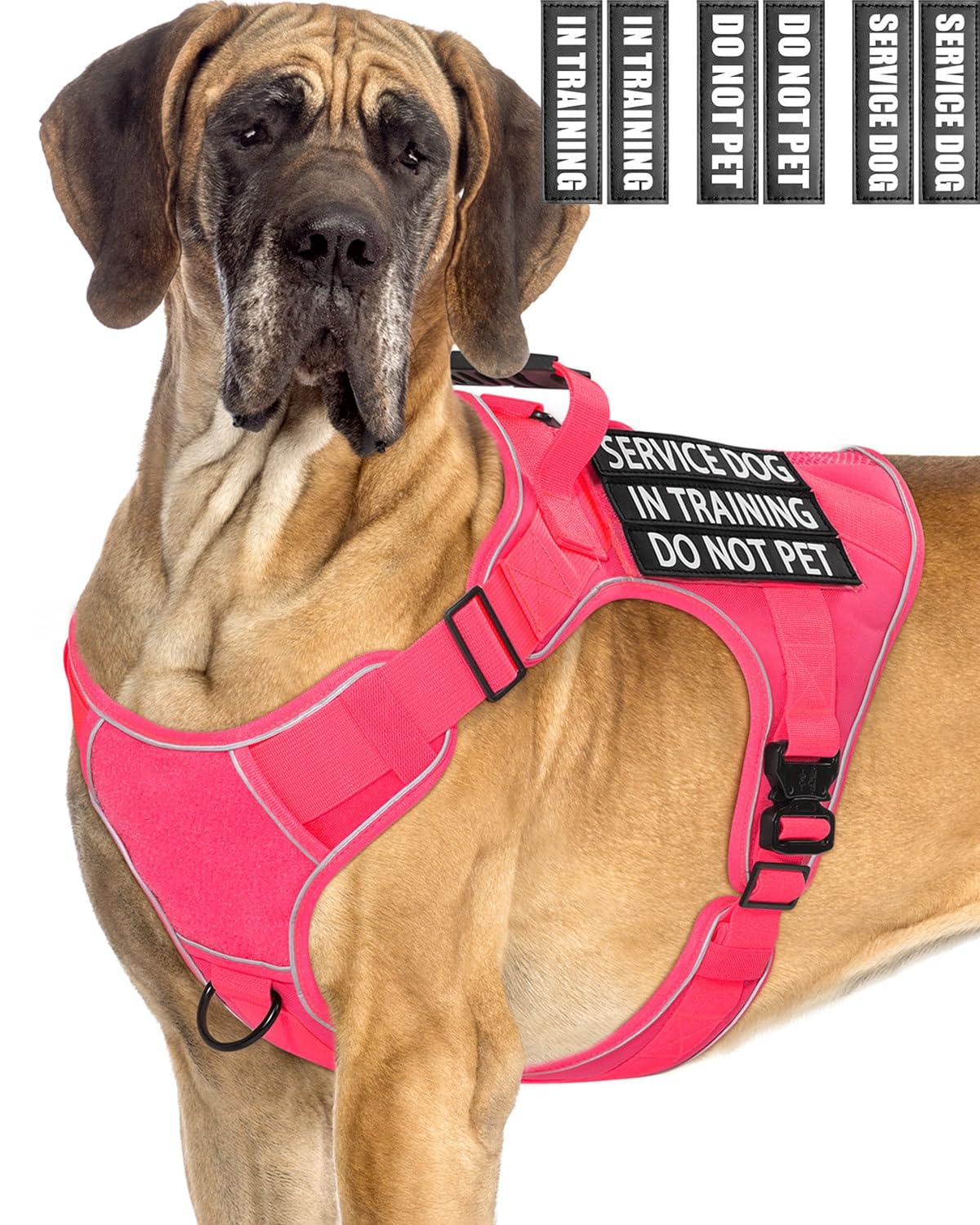 Pink Service Dog In Training Vest Harness For Extra Large Dogs, Reflective Adjustable Heavy Duty Padded Dog Harness, With Front 