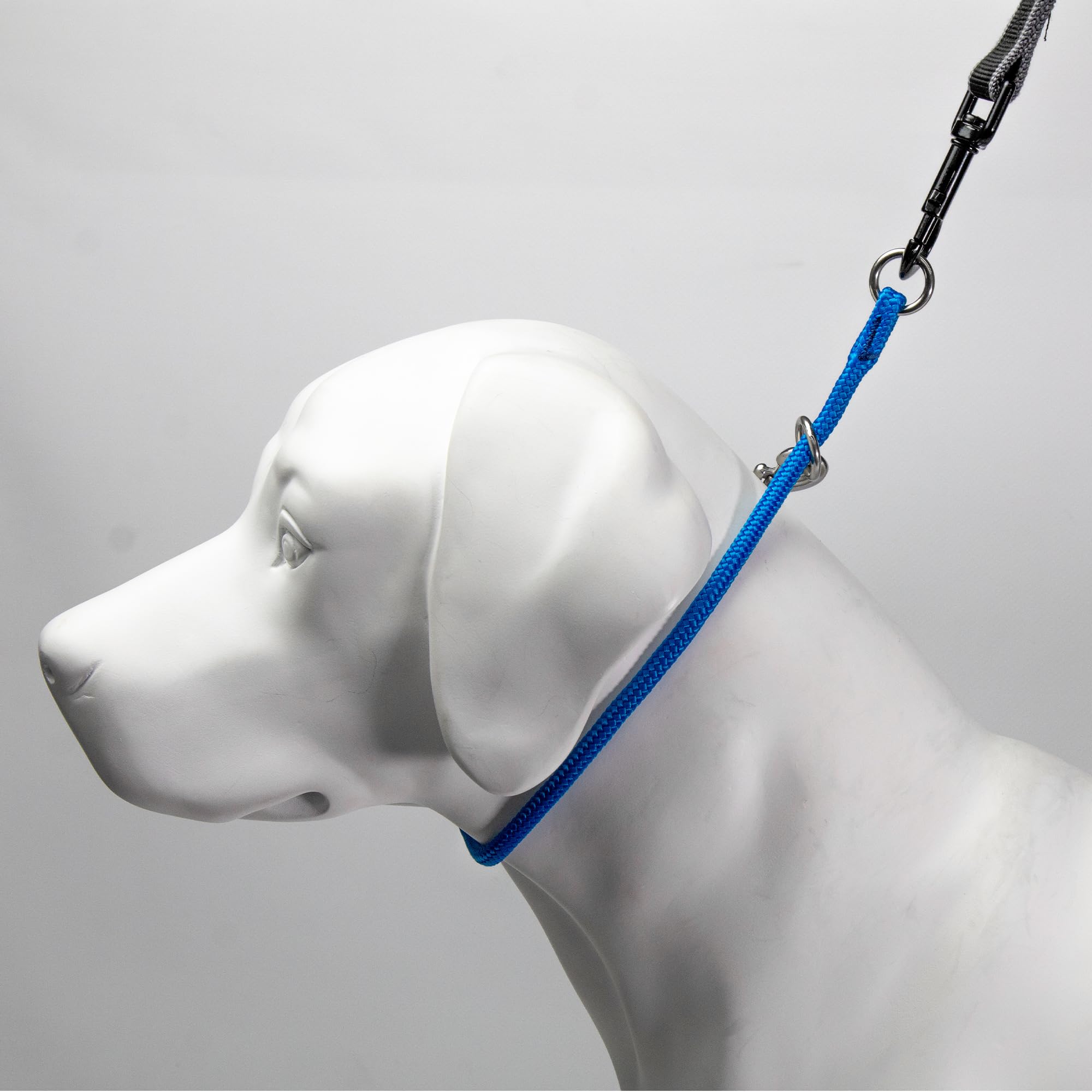 Dominant Dog Collar (10'', Pacific Blue)