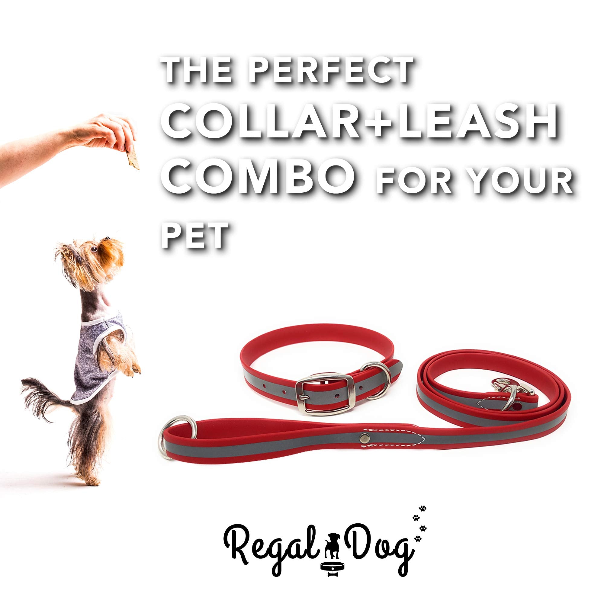 Regal Dog Products Large Red Reflective Dog Collar And Leash Set - Waterproof Biothane Dog Collar With Heavy Duty Double Buckle,