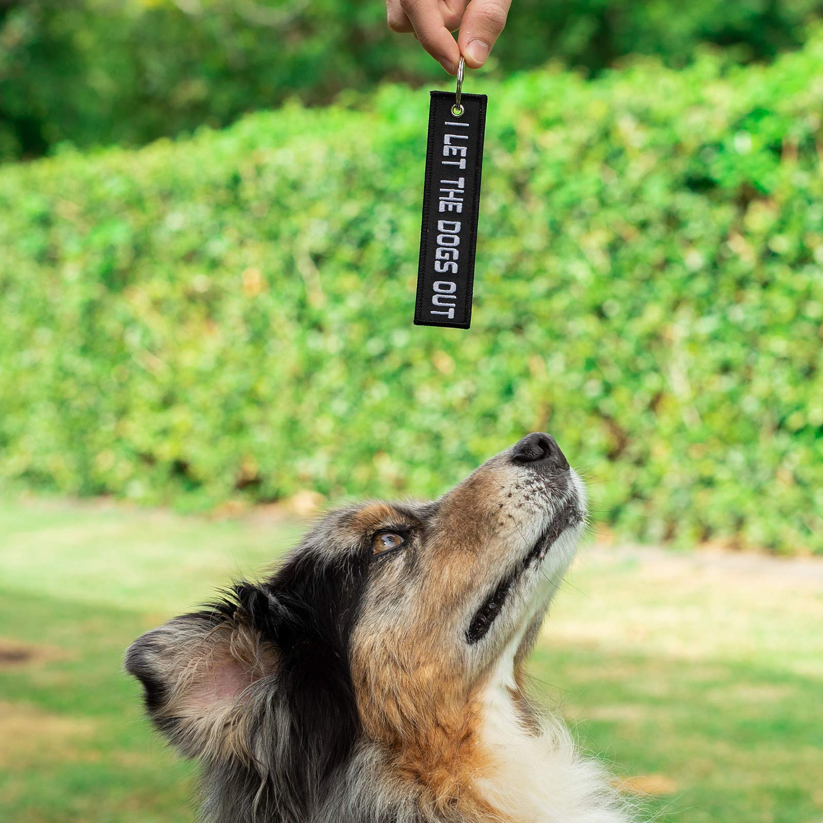 Motoloot Dog Keychain Pup Puppy Key Ring Tag For Keys, Gift, Present And Dog Lover (I Let The Dogs Out)