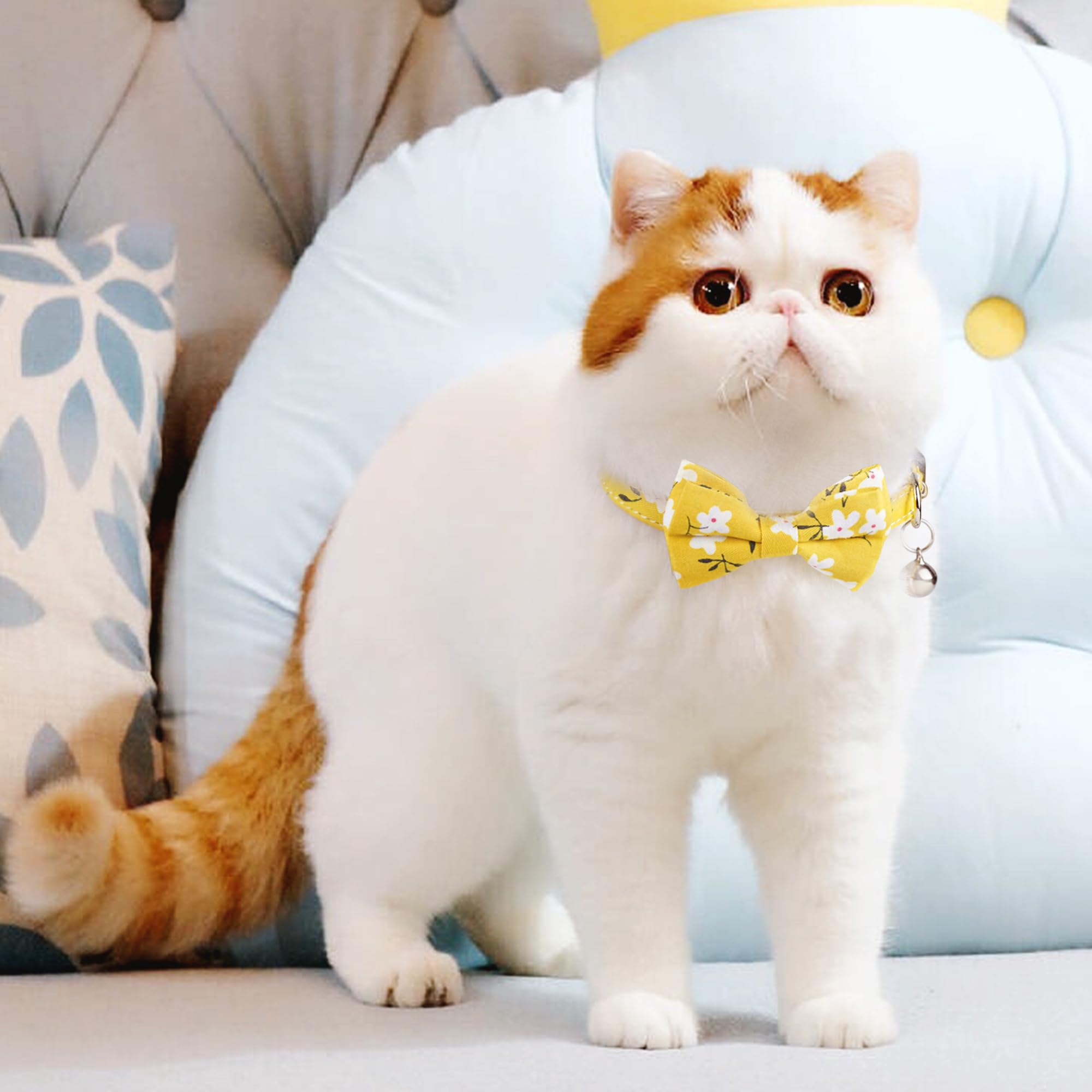 G-Ficu 2 Pack Cat Collar Breakaway With Cute Bow Tie Bell Charm, Flower Plaid Collars For Girl Boy Cats Kittens With Adjustable