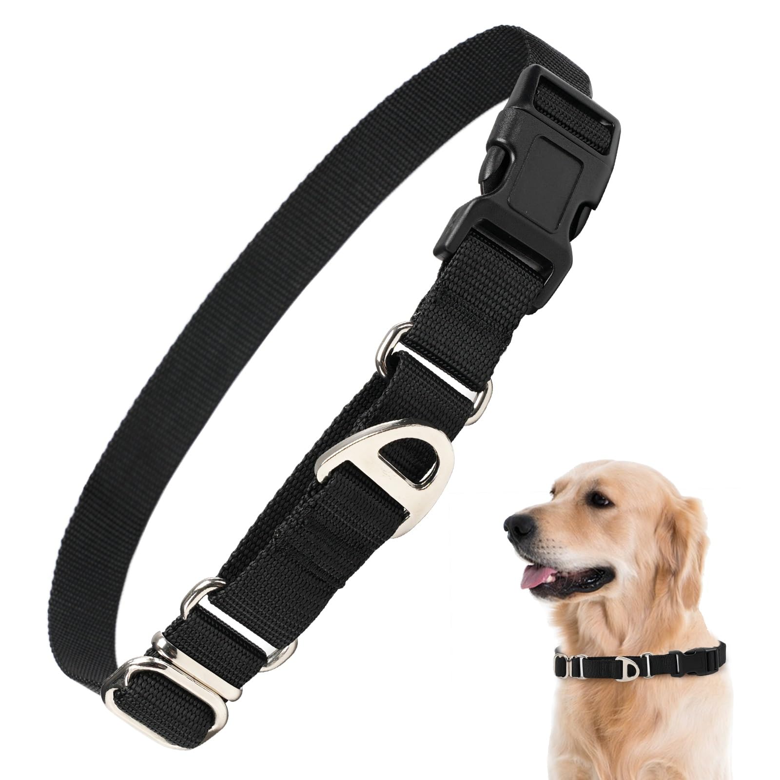 Rttochfy Martingale Dog Collars, Adjustable Nylon Dog Collar With Quick Release Buckle, No Choke Training Collar For Small Mediu