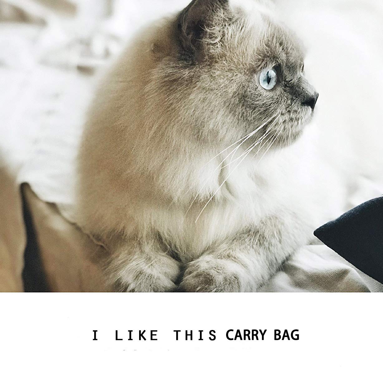 Kameiou Breathable Mesh Cat Small Dog Purse Carrier Tote Bag For Small Dogs Pets Outdoor Pet Purse Carriers For Puppy Cat Small