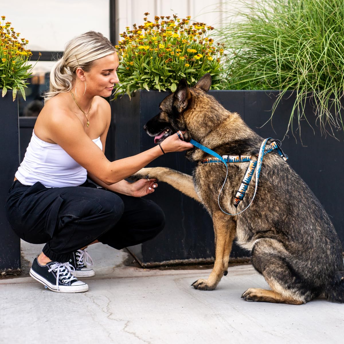 Wolfgang Heavy Duty Adjustable Dog Harness, Pull-Tested To Over 800 Lbs For Walking & Training, Overland Print, Medium