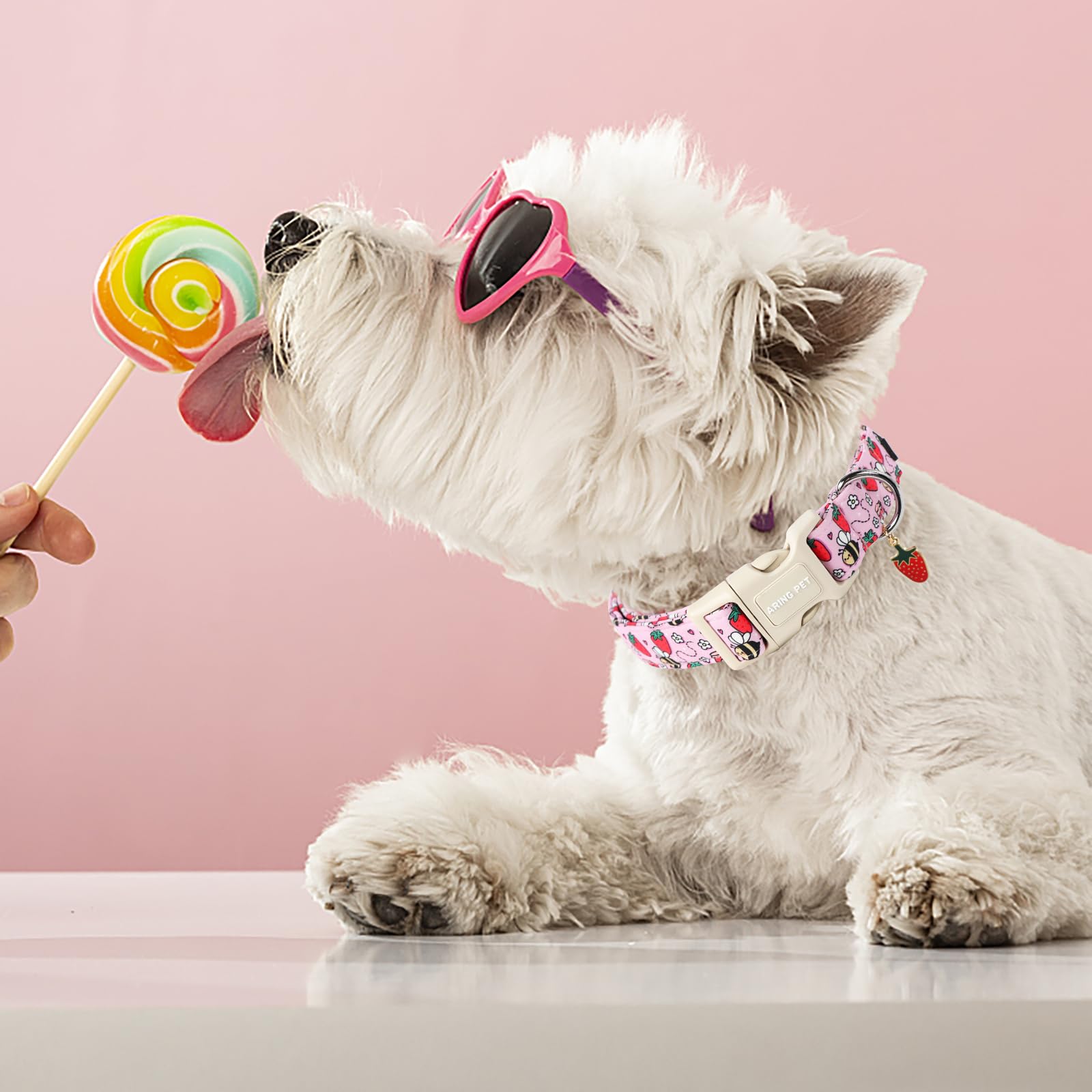 Aring Pet Summer Dog Collar-Cute Pink Dog Collar For Small Dogs, Adjustable Strawberry Bees Print Pet Collars Puppy Collar For S