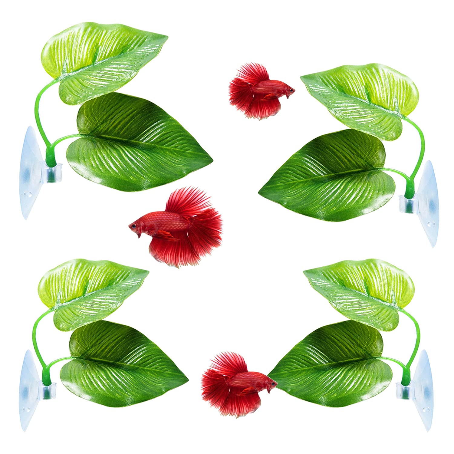 CousDUoBe 4 Pack Betta Fish Leaf Pad Improves Betta s Health by Simulating The Natural Habitat - Natural, Organic, Comfortable 