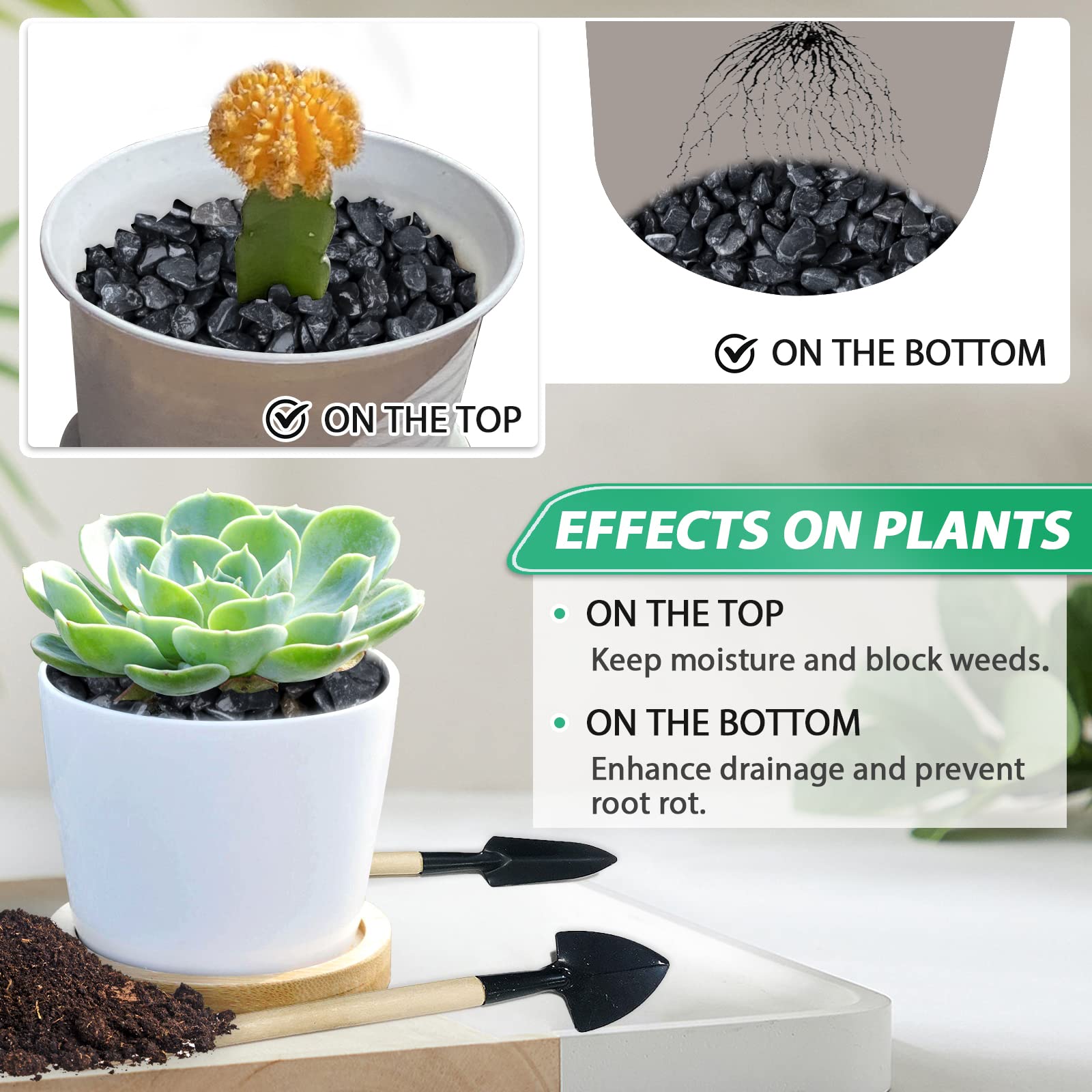 Succulent Rocks for Plants Tiny Pebbles for Planters 2.8LB Pea Gravel Bulk Polished Course Sand Soil Small Decorative Stones for