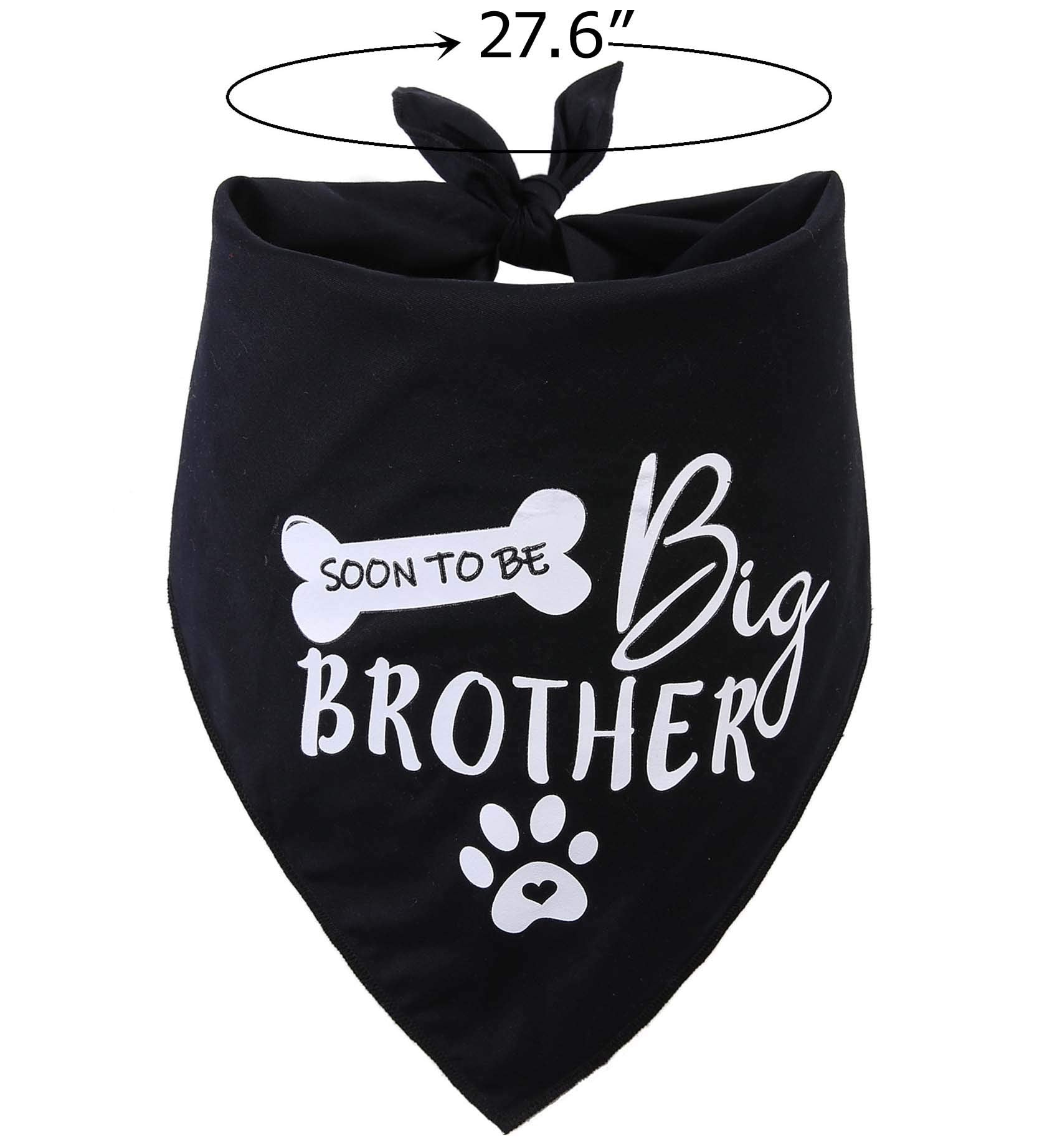 Big Brother Dog Bandana Reversible Triangle Bibs Pet Scarf