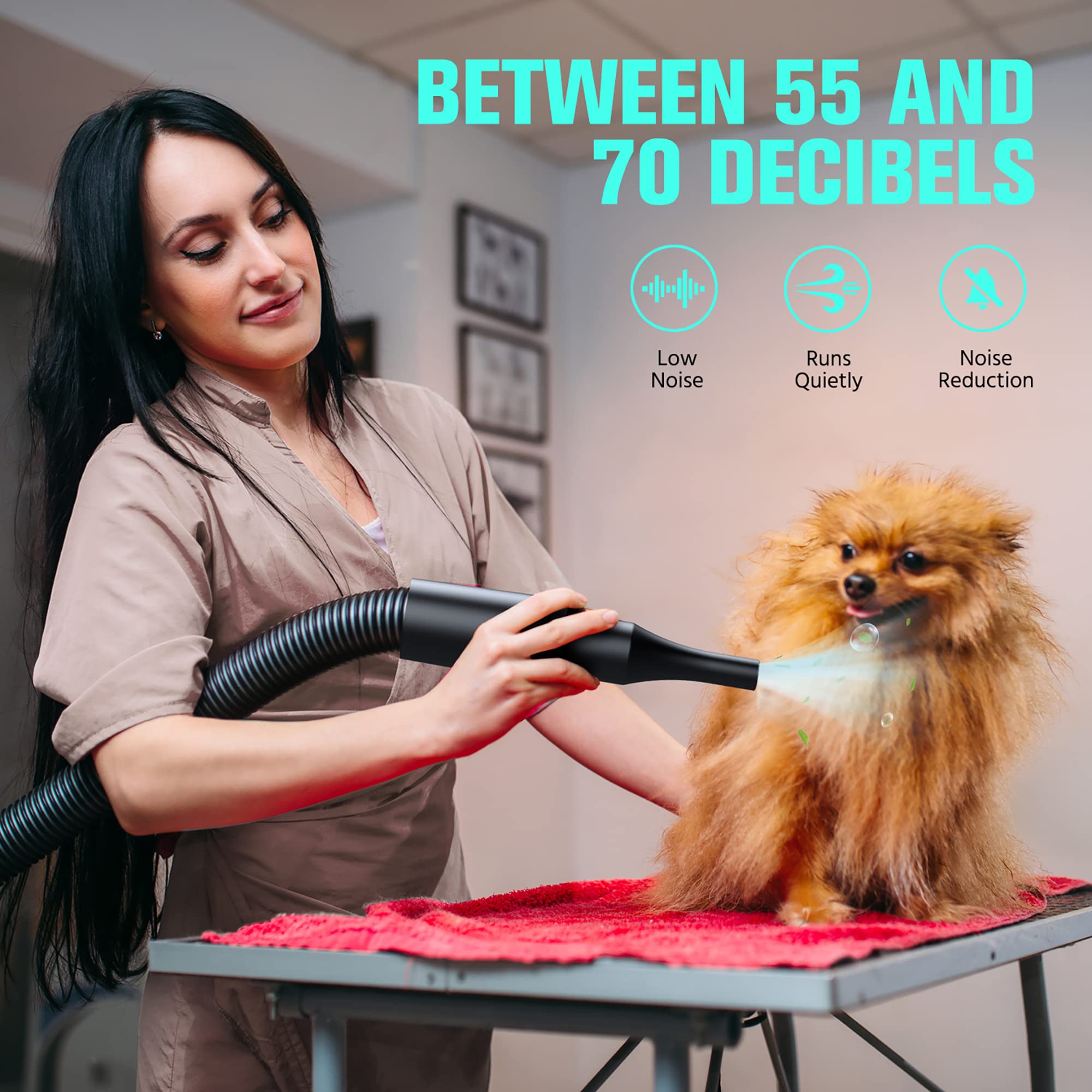 Pet Dryer, 5.2Hp/3800W Pet Grooming Dryer With Adjustable Speed And Temperature Control Dog Blow Dryer, Pet Hair Dryer With 3 Nozzle