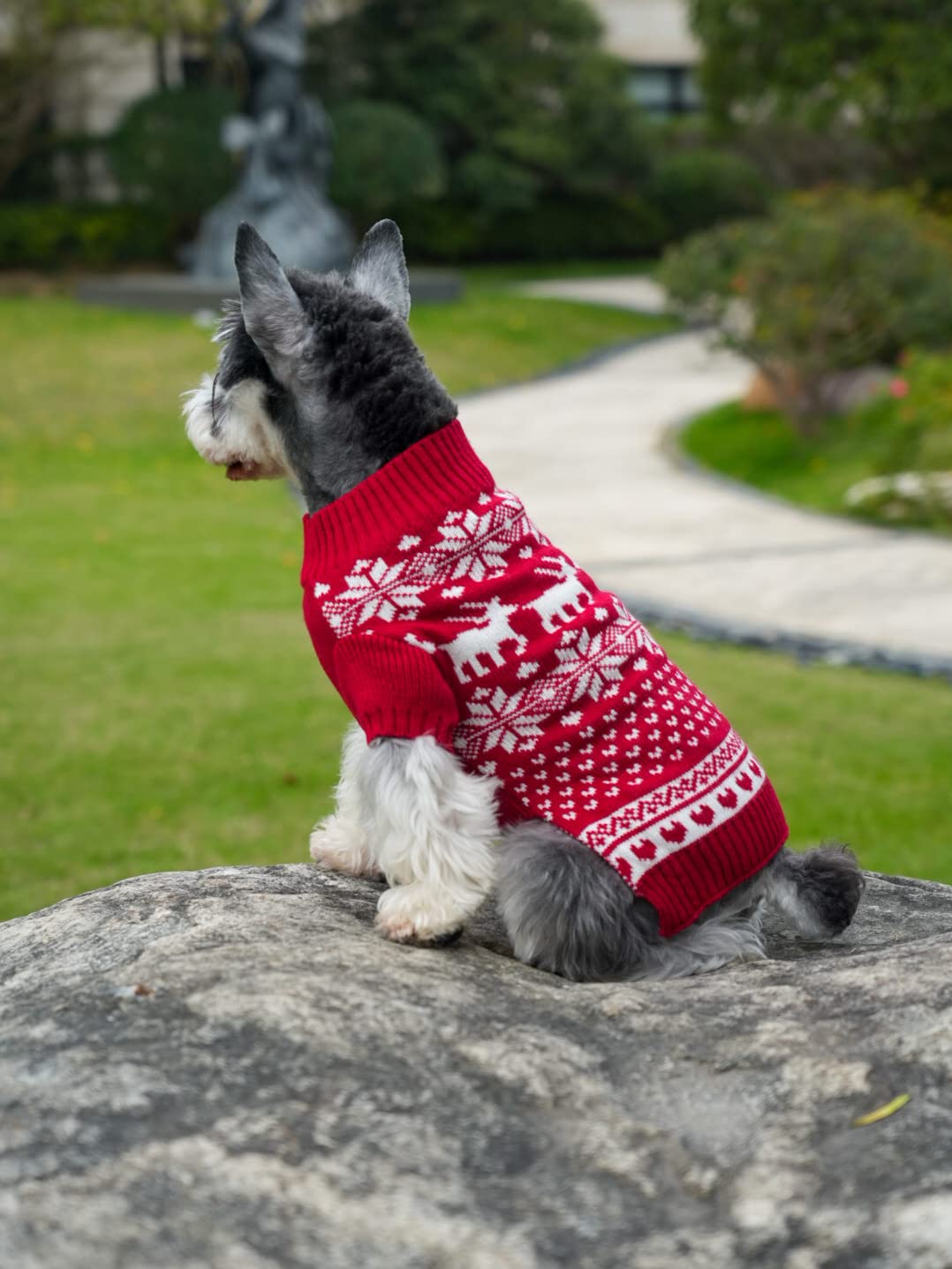 Red Christmas Reindeer Holiday Festive Dog Sweater For Puppy Small Dogs Cats, X-Small (Xs) Size