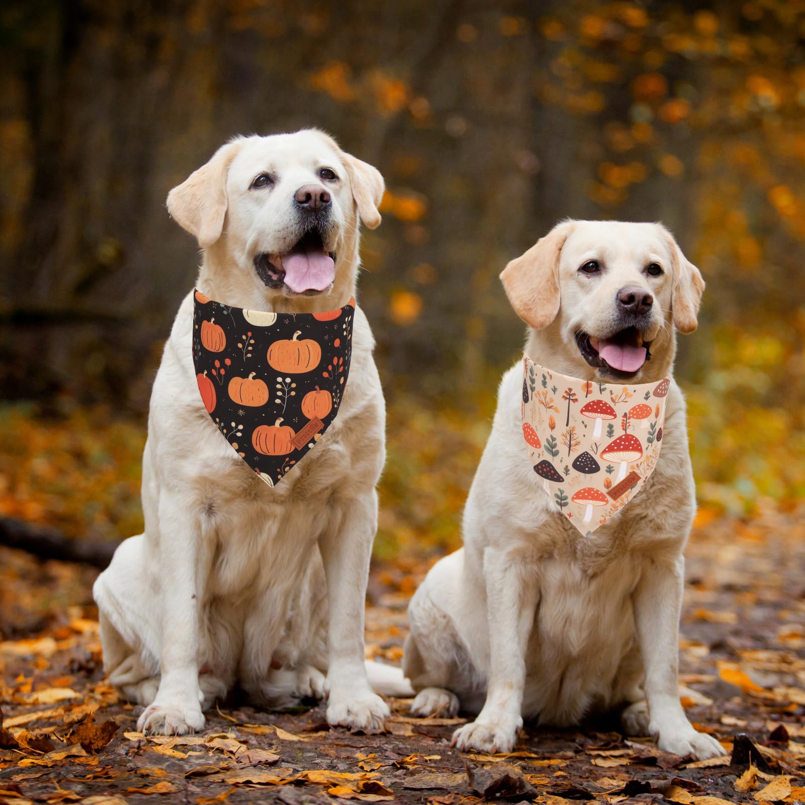 Ptdecor Fall Dog Bandana, Pumpkin Mushroom Design Scarf Reversible Holiday Dog Scarf, Triangle Thanksgiving Bandanas For Large X