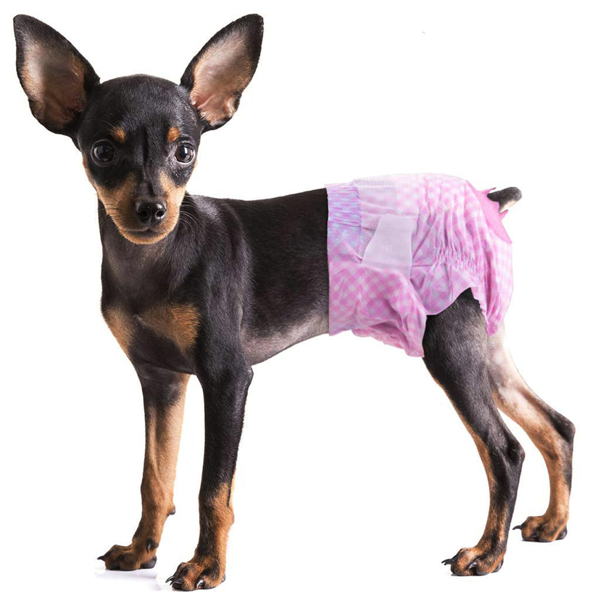 Pet Soft Dog Diapers Female - Disposable Dog Diapers, Cat Diapers For Female Cats, Puppy Diapers With Adjustable Foam Tail Hole 