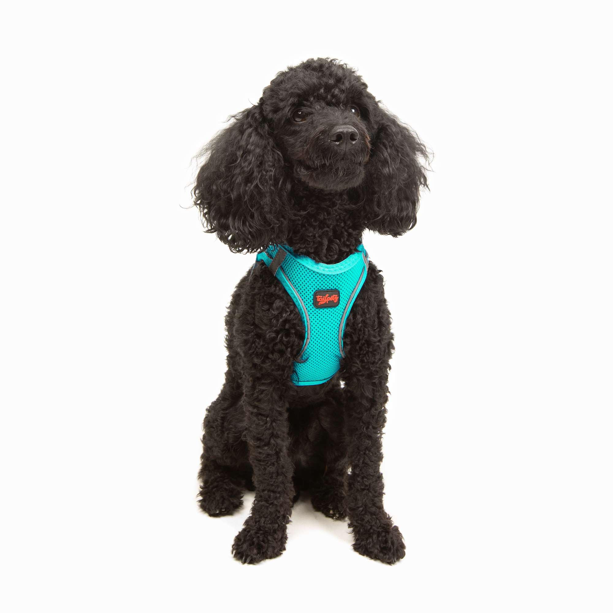 Tailpetz XSmall Dog Harness Light Blue, Adjustable Step in No Pull Harness for Small Dogs, Reflective Puppy Harness for Puppy Tr