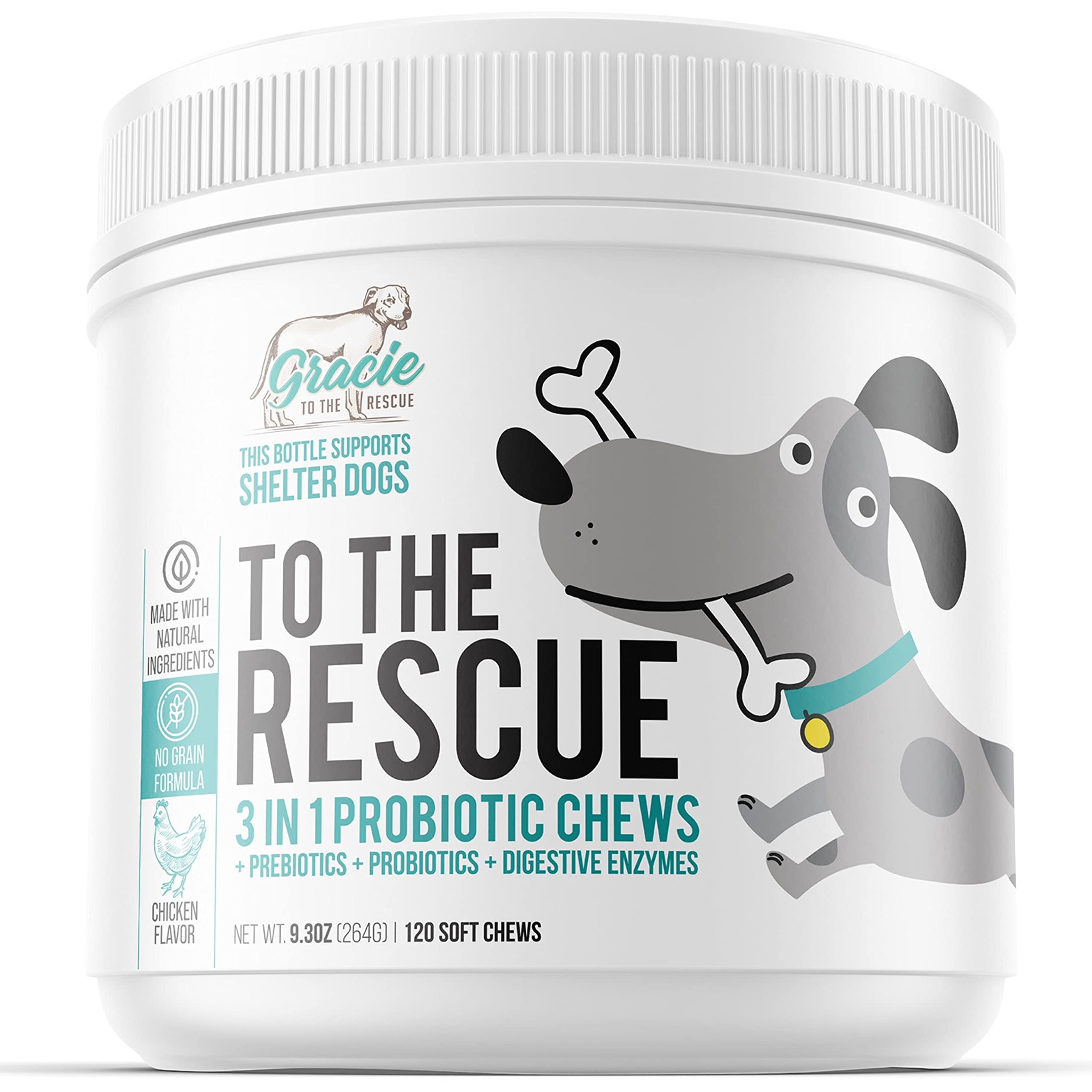 Probiotic Chews for Dogs, Support Digestive Health, Dog Probiotics and Digestive Enzymes, Dog Probiotic Chews, Probiotic Dogs, P