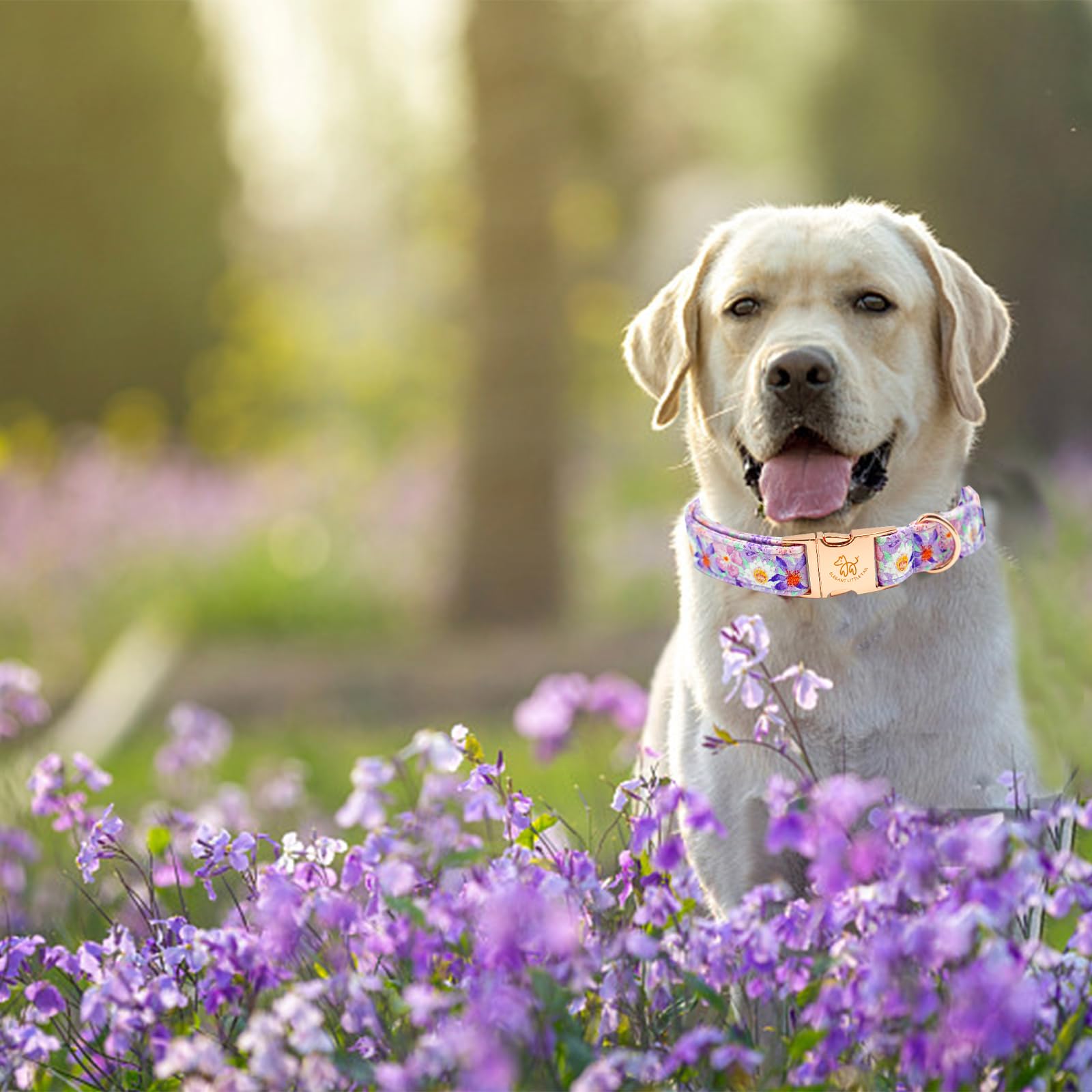 Elegant Little Tail Purple Floral Print Summer Dog Collar - Cotton, Durable, Metal Buckle For Large Dogs