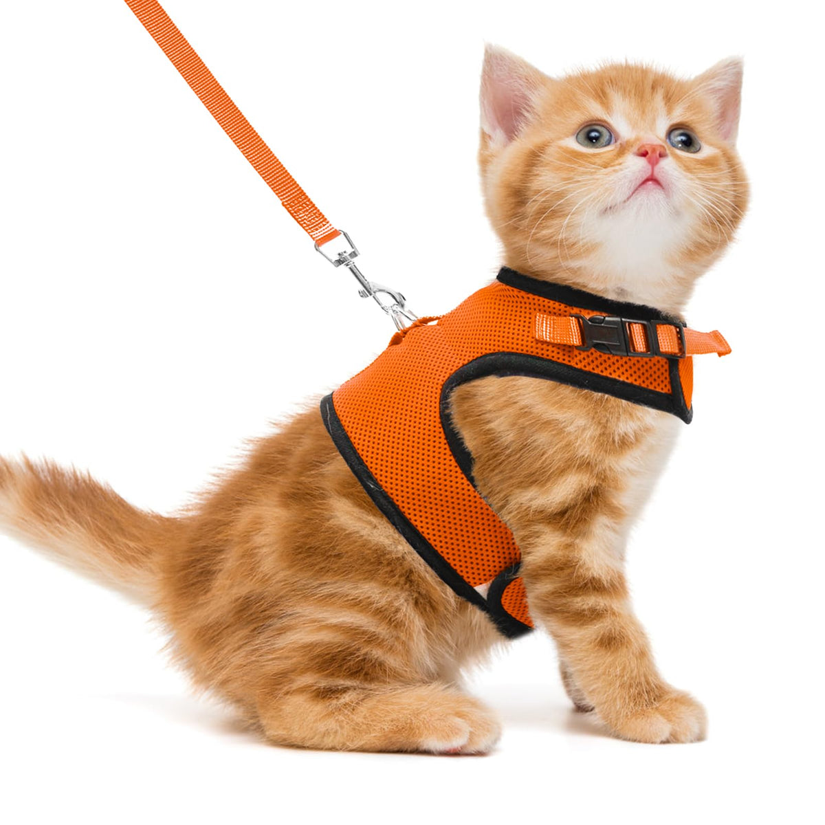 Pupteck Soft Mesh Cat Vest Harness And Leash Set Puppy Padded Pet Harnesses Escape Proof For Cats Small Dogs Rabbits Bunny, Oran