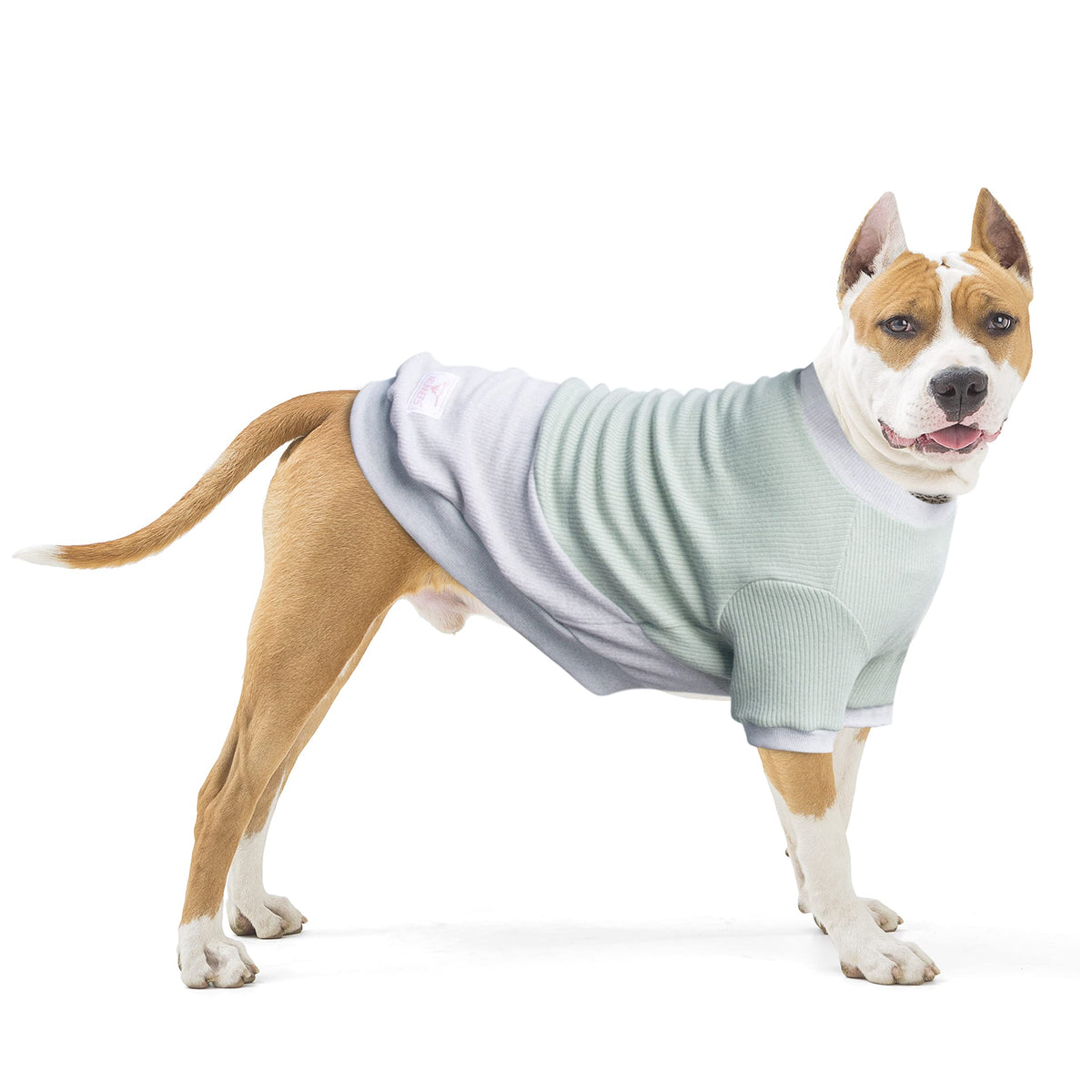 Arunners Extra Large Dog Sweaters Warm Clothes Pullover Sweatshirts For Labrador Rottweiler Great Dane, Green Grey, 4X-Large