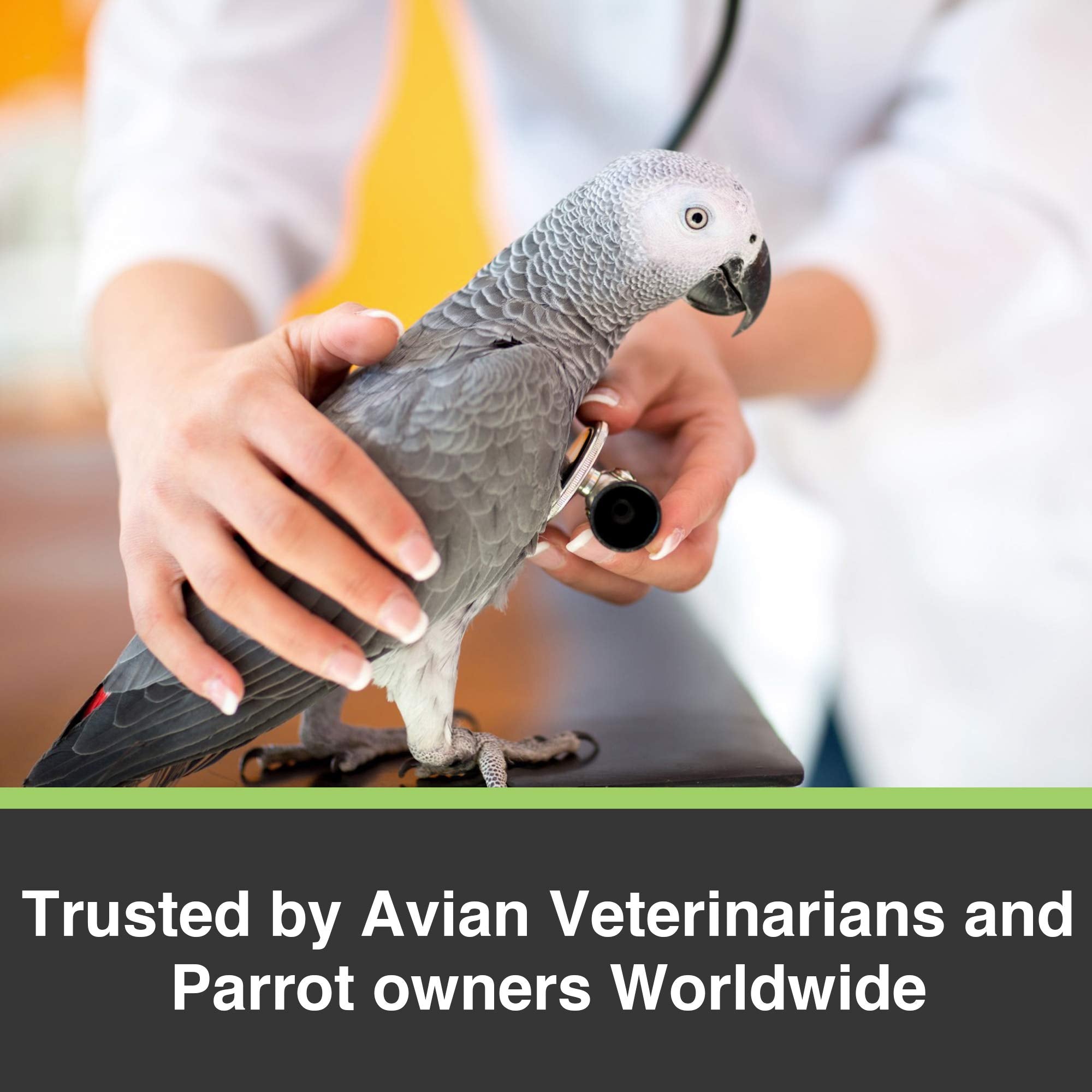 HARI Tropican Bird Food, Hagen Parrot Food with Peanuts & Sunflower Seeds, Parrot Granules for Small Parrots, High Performance 2