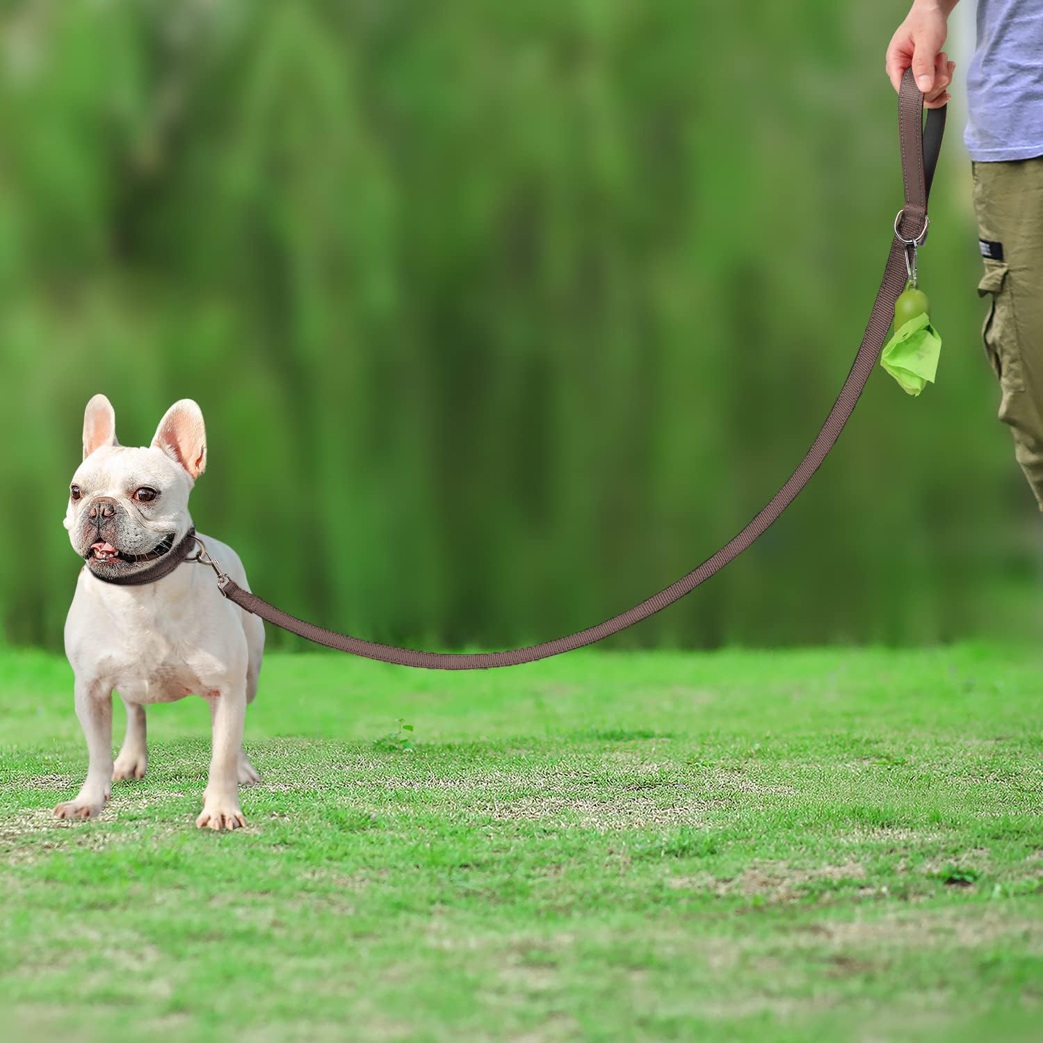 Joytale Double-Sided Reflective Dog Leash, Heavy Duty Nylon, 6FT, Brown, Padded Handle for Medium & Large Dogs