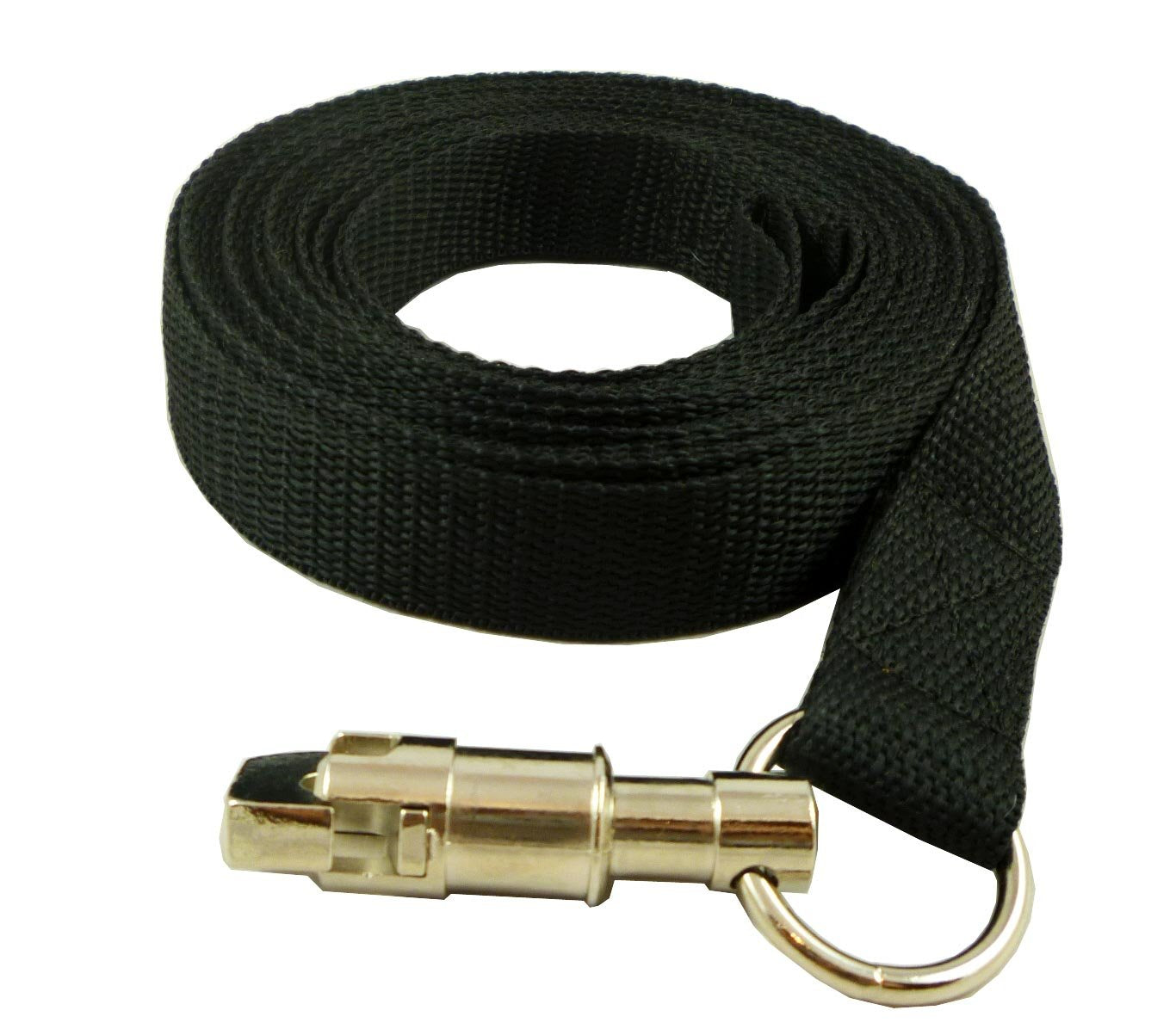 Dog Leash 1' Wide Nylon 6 Feet Long For Training Secure Locking Snap