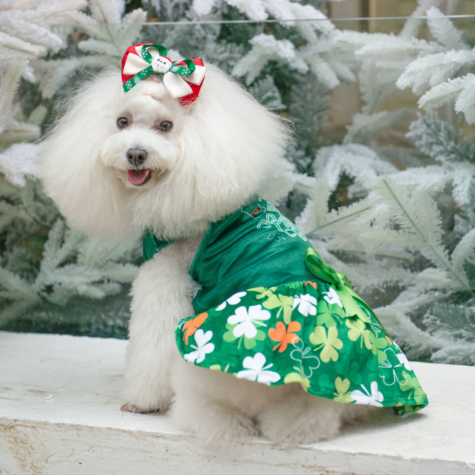Cutebone St.Patrick'S Day Dog Green Dress Velvet For Small Dogs Girl Puppy Dresses Clover Dog Clothes Cva13L-D