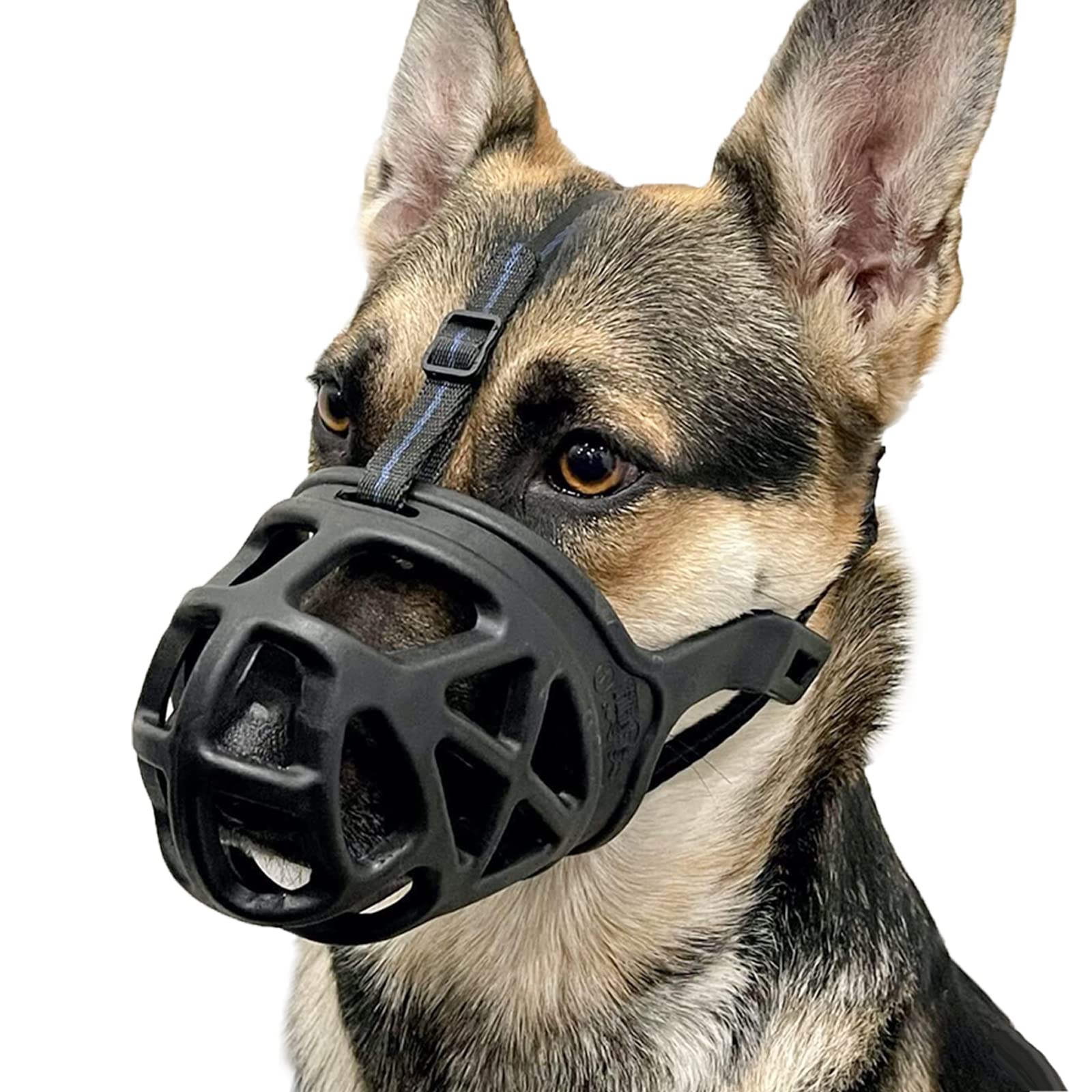 Dog Muzzle, Basket Muzzle For Biting, Chewing And Scavenging, Humane Cage Mouth Cover, Perfect For Grooming And Training Medium,