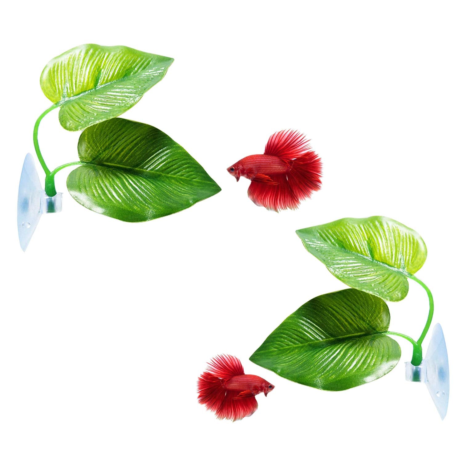 Cousduobe 2 Pack Betta Fish Leaf Pad Improves Betta'S Health By Simulating The Natural Habitat - Natural, Organic, Comfortable Rest Area For Fish Aquarium