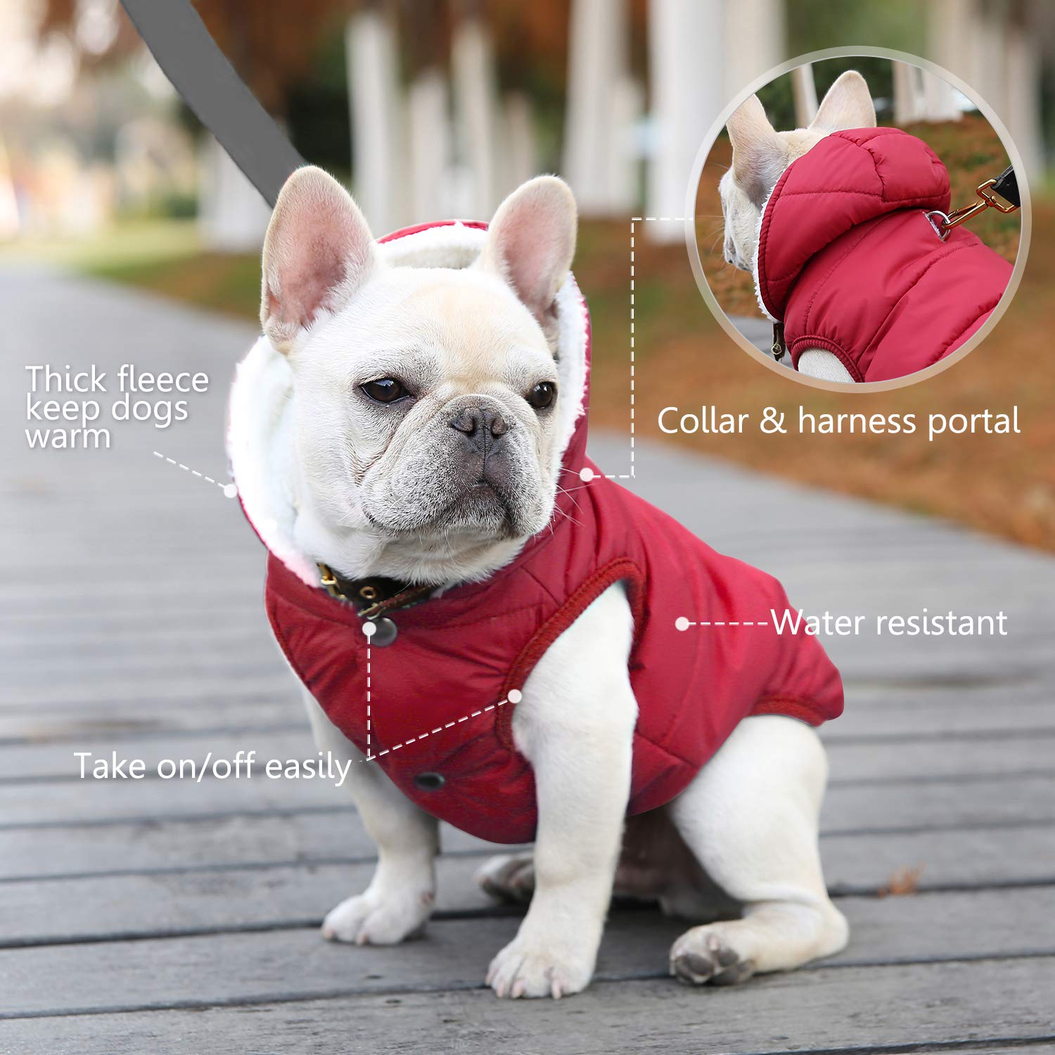 Dog Fleece Hoodie, Windproof Waterproof Dog Coat Fleece & Cotton Lined Warm Dog Jacket, Cold Weather Pet Apparel Clothes Vest For Small Medium Large Dog (Xs: Length 9.1', Chest 9.8'-11.8', Red)