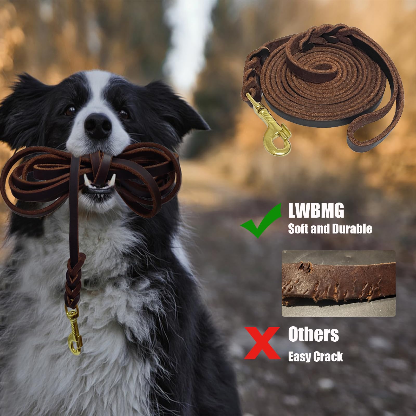 Lwbmg Long Leather Dog Leash 30Ft, Heavy Duty Pet Leash, Strong Sturdy Genuine Leather Braided Dog Leashes, Soft And Comfortable
