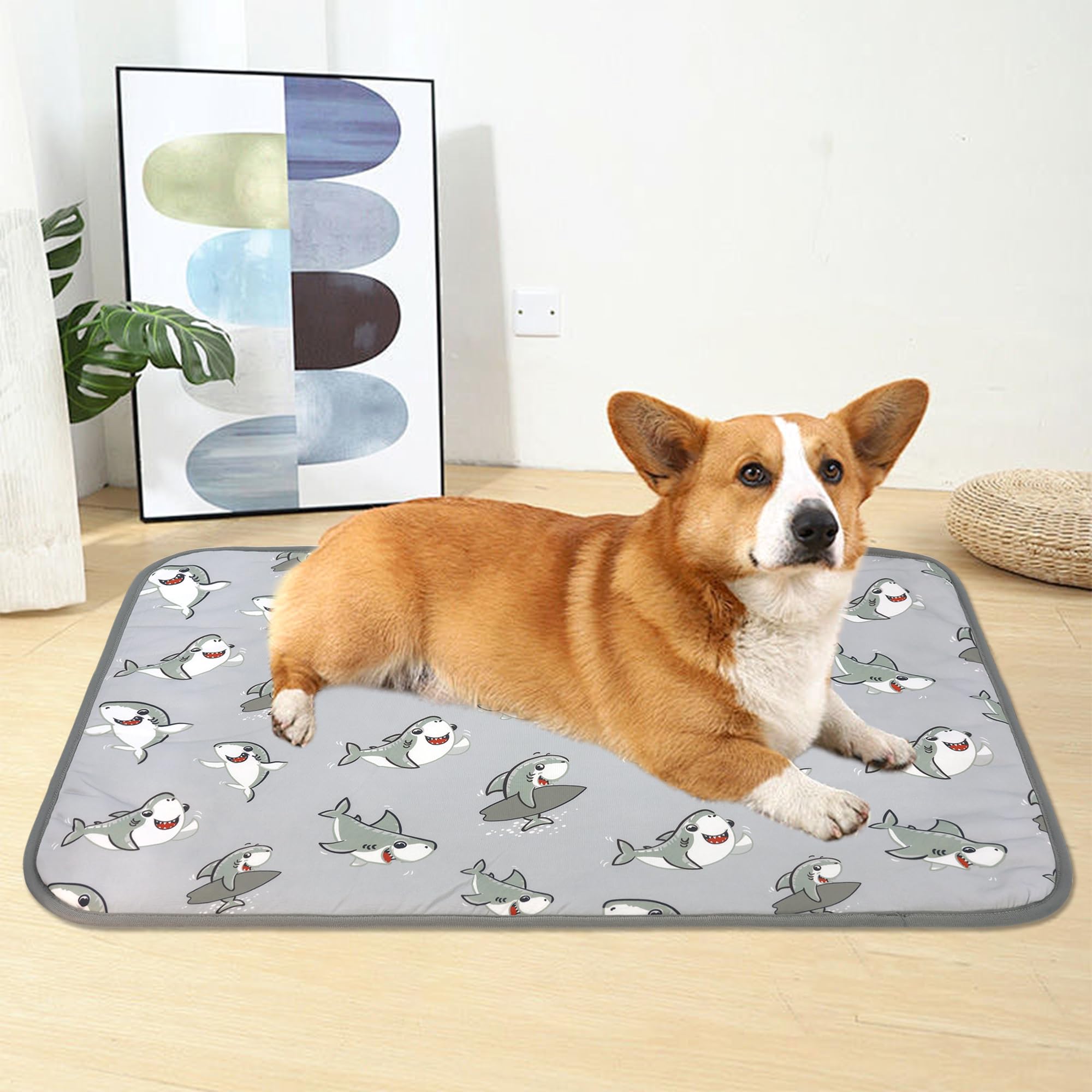 Delifur Dog Cooling Mat- Pet Cooling Mat Outdoor For Dogs Self Cooling Pad For Puppy Small Medium Dog Machine Washable (Large, G