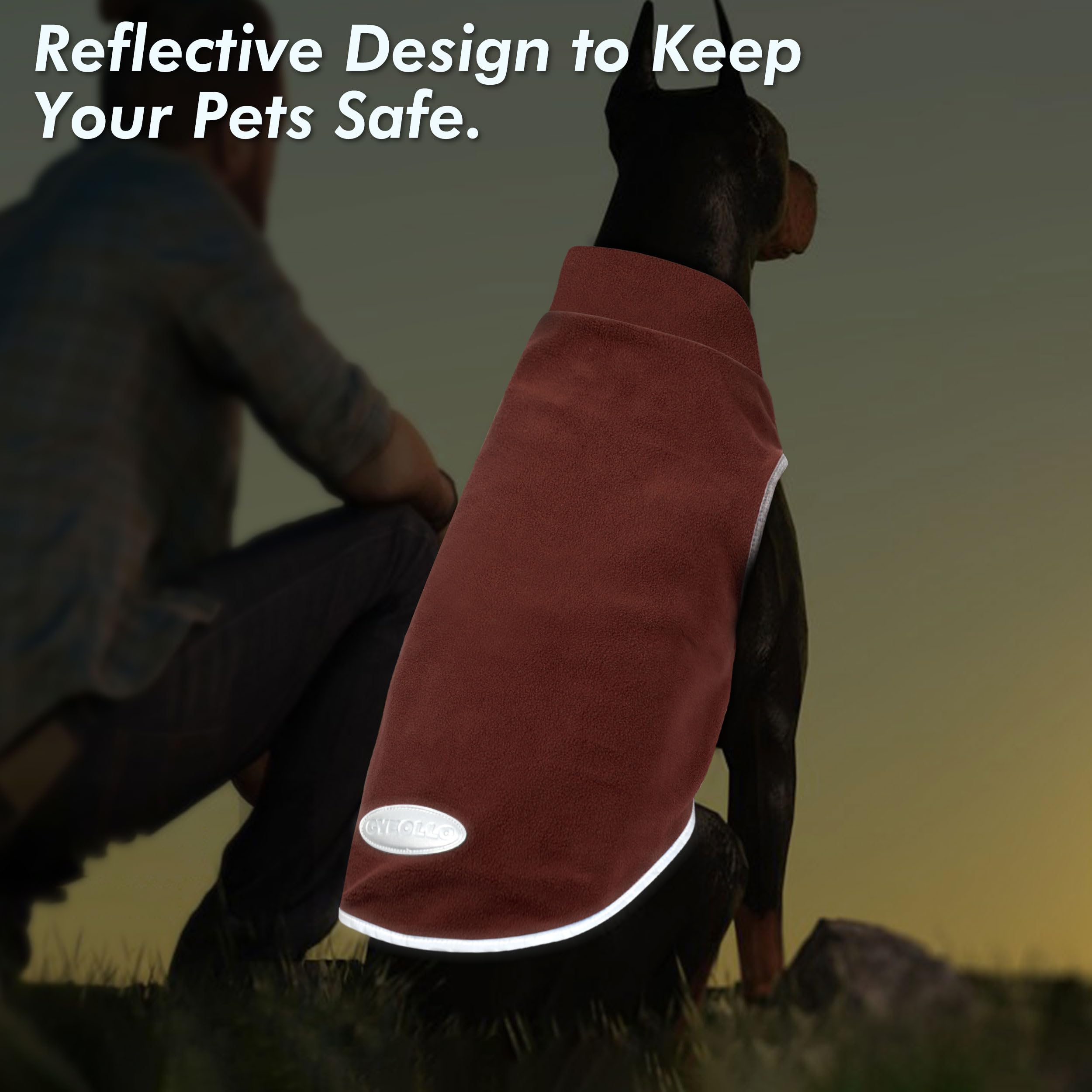 Cyeollo 2 Pack Fleece Sweater Vest Sweatshirt - Reflective Lightweight Dog Clothes For Small Dogs Girl Pet Apparel - Pink, Fusch