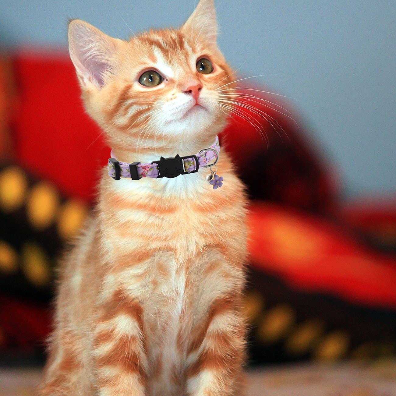 3 Pack Breakaway Cat Collars With Bell And Accessories, Flower Pattern Adjustable Cute Kitten Collars Floral For Kitty Puppy 7.5-11In …