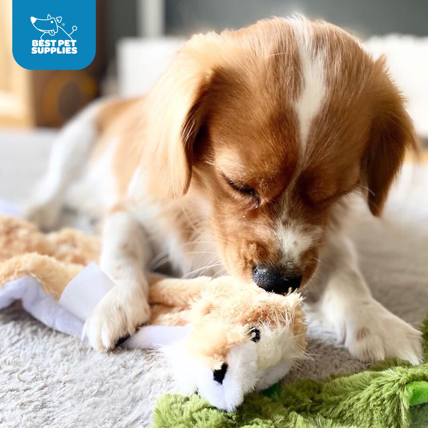 Best Pet Supplies 2-In-1 Stuffless Squeaky Dog Toys With Soft, Durable Fabric For Small, Medium, And Large Pets, No Stuffing For Indoor Play, Holds A Plastic Bottle - Cow, Monkey, Medium