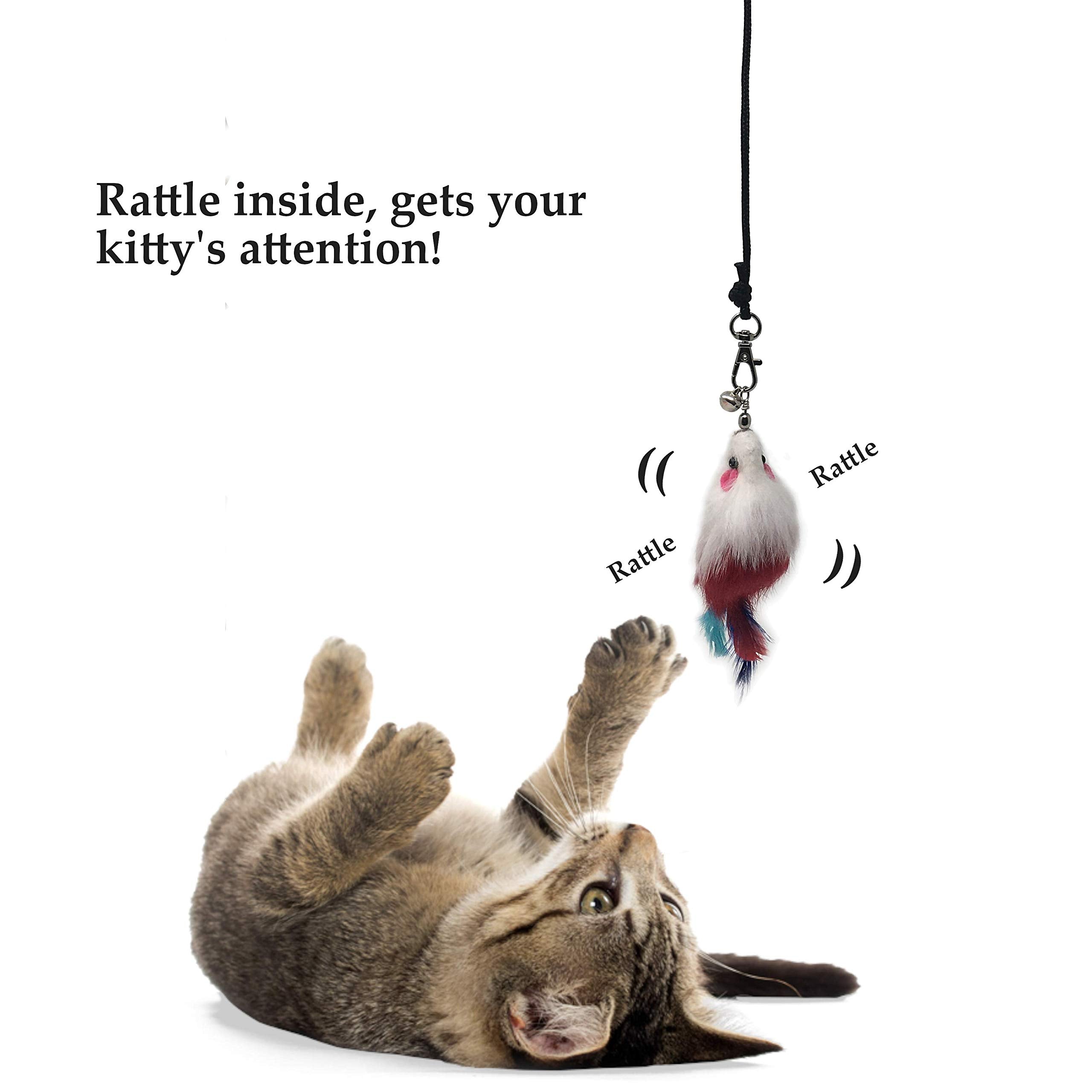 Pet Fit For Life - 10 Piece Kitten Toy Refill Pack - Replacement for Indoor Cats Interactive Wand and Catch Wand - Features 5 S