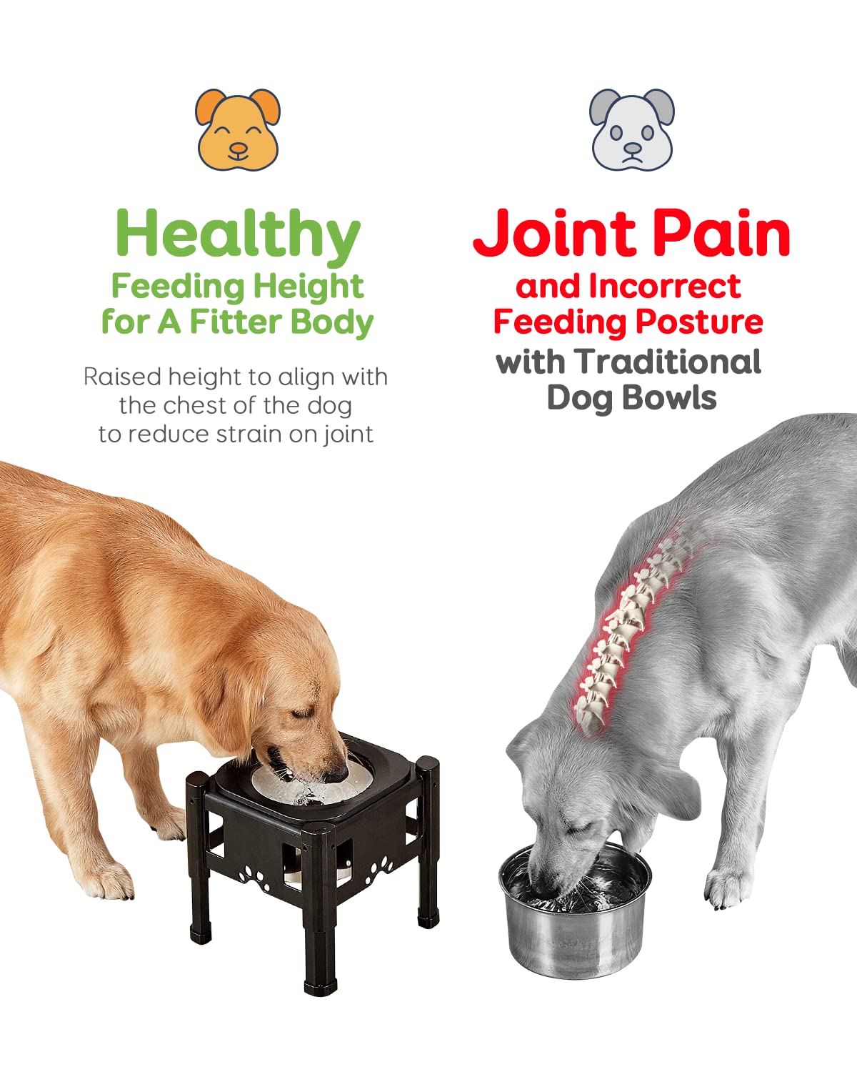 Pawque Elevated Dog Water Bowl - 80Oz Adjustable Height (6.1"-9.3") - Non-Slip Stainless Steel - Black for Medium & Small Dogs
