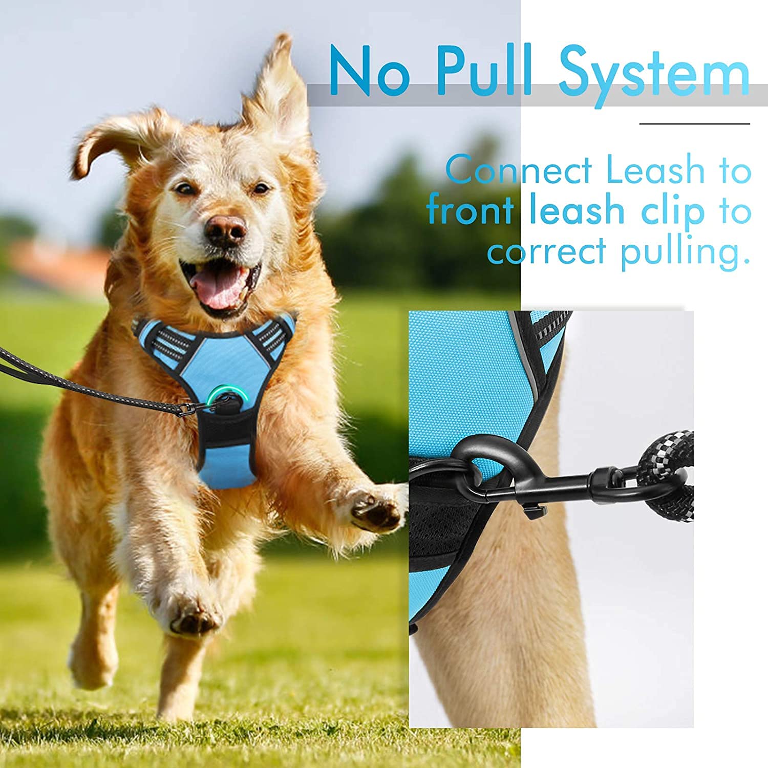 Rabbitgoo Dog Harness, No-Pull Pet Harness With 2 Leash Clips, Adjustable Soft Padded Dog Vest, Reflective No-Choke Pet Oxford Vest With Easy Control Handle For Large Dogs, Blue, L