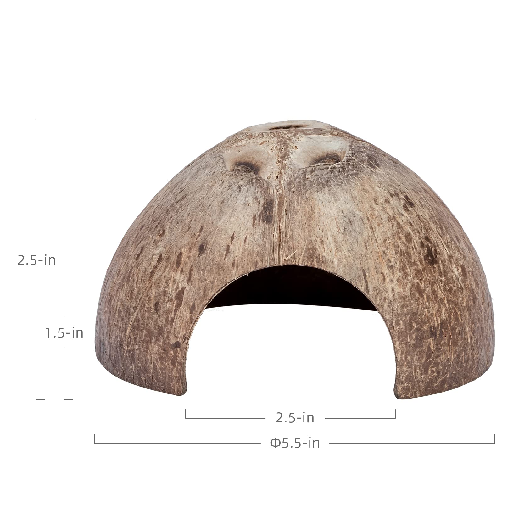 Niteangel 2 Pack Natural Coconut Reptile Hideouts, Lizard, Spider And Aquarium Fish Hide Cave (Smooth Surface)