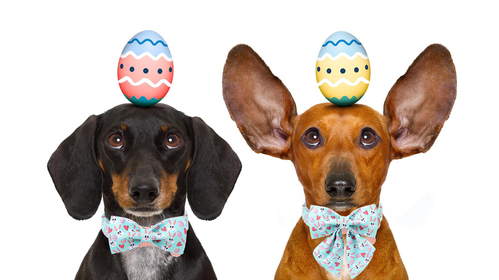 Dogwong Cotton Easter Dog Collar With Bowtie, Soft Adjustable Blue Bunny Easter Day Dog Collar Cute Colorful Egg Puppy Collar Fo
