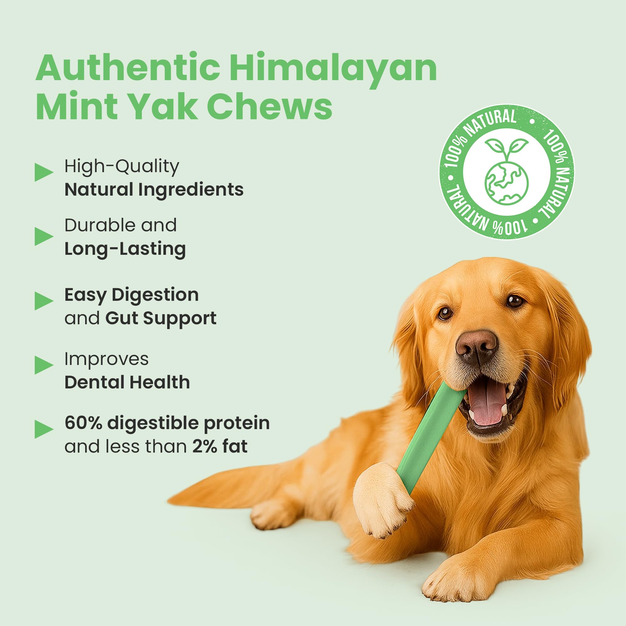 KATHMANDUS 100% Natural Mint Flavor Yak Chews - Keep Dogs Busy & Happy with Our Lactose & Rawhide Free Himalayan Dog Chews - Lo