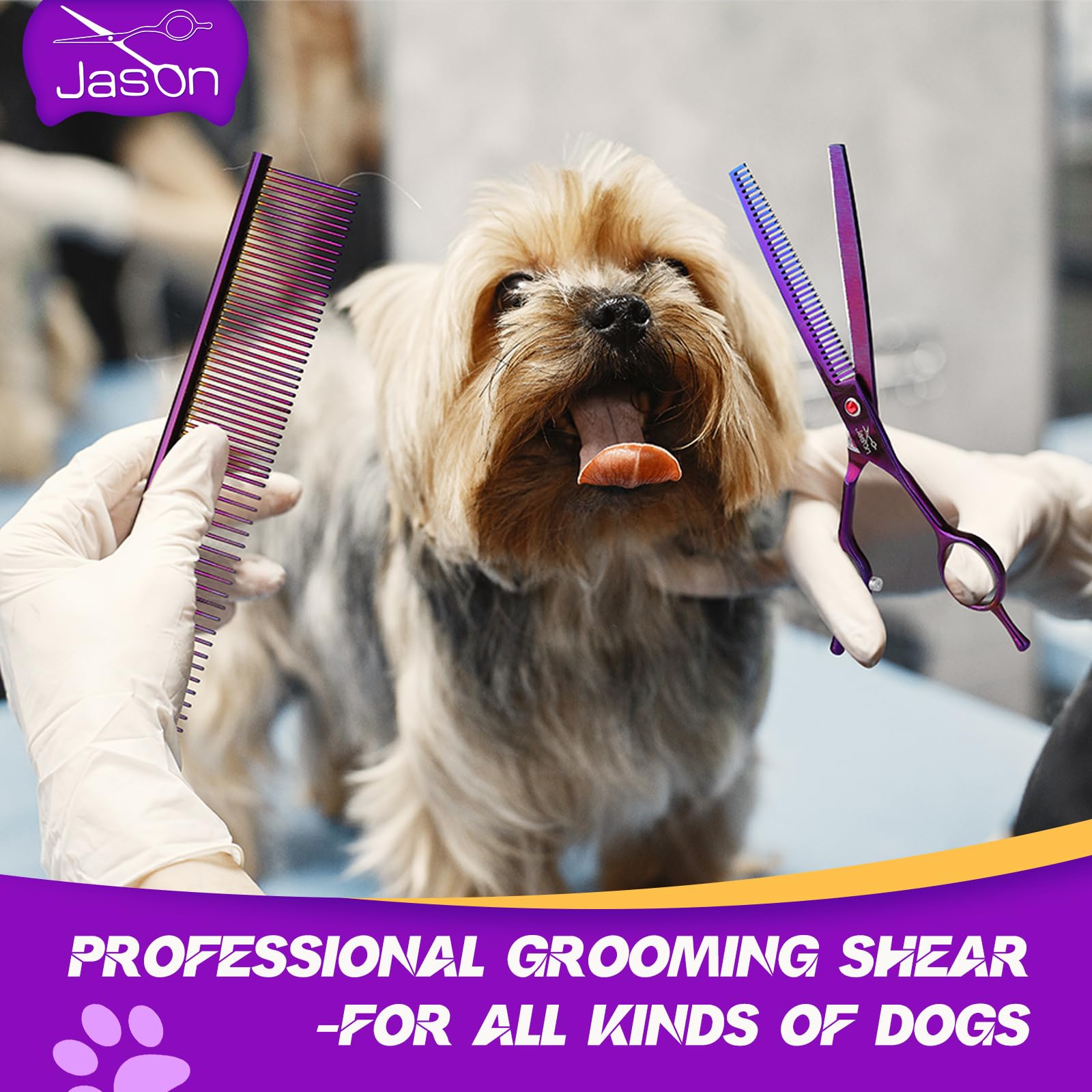 JASON Grooming Scissors for Dogs - Sharp Thinning Dog Shear with Muffler Pad, Stainless Steel Dog Grooming Shears Professional T