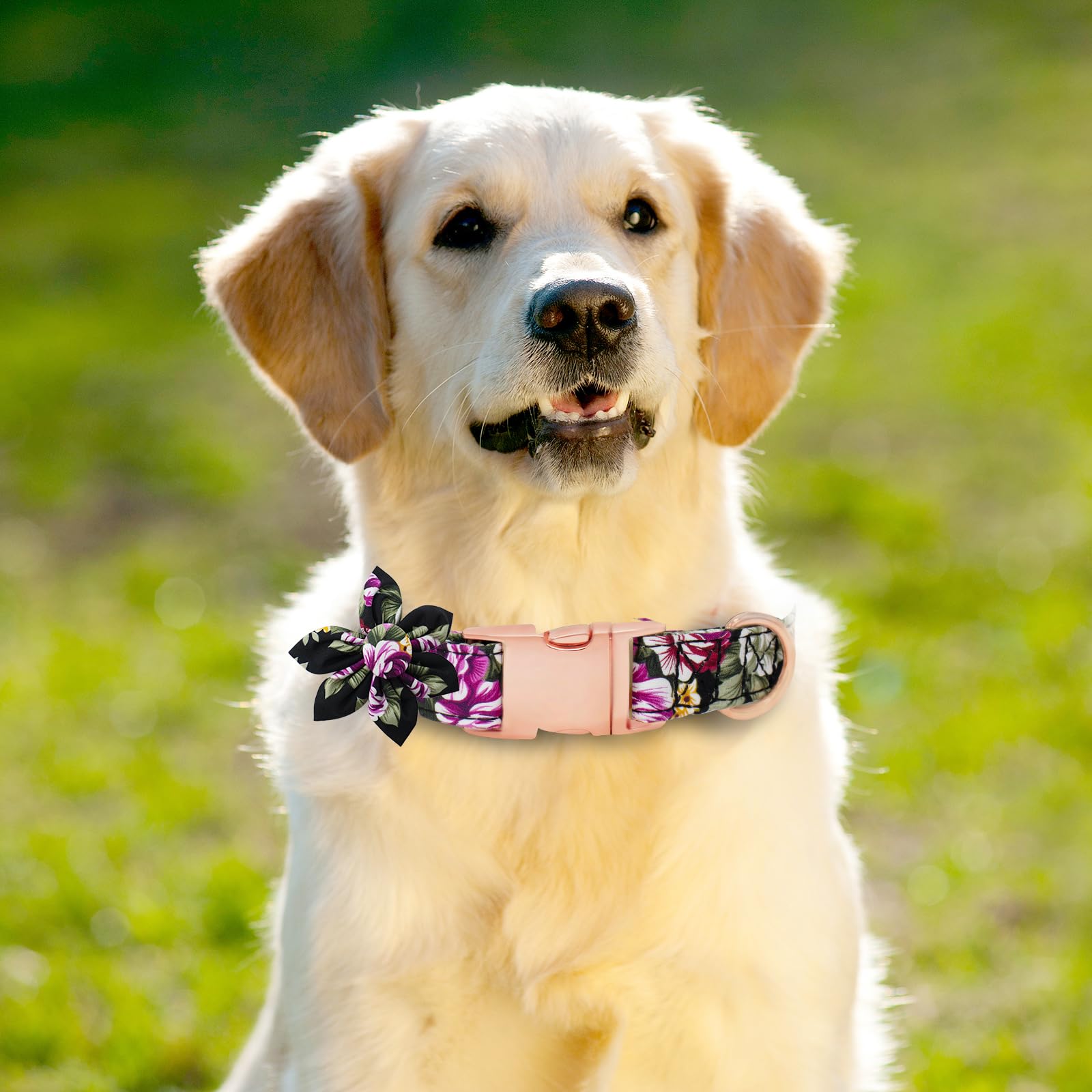 HSIGIO Dog Collar and Leash Set Girls Adjustable Puppy Collars with Floral Bow Tie for Small Medium Large Female Dogs, Black Ros