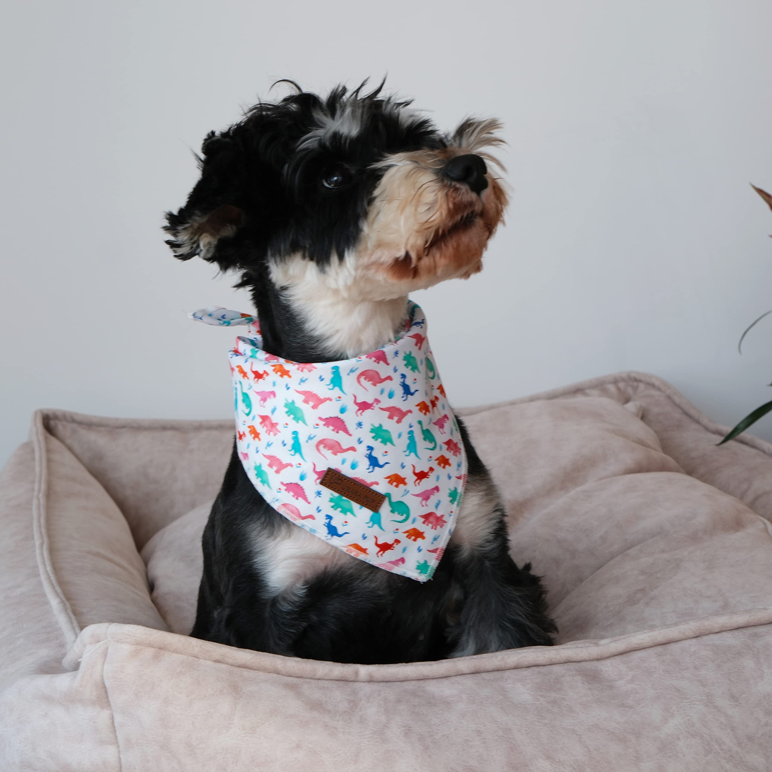 Up Urara Pup Dinosaur Dog Bandana, Comfortable Cotton Triangle Bid Scarf For Puppy Small Dogs Or Cats, Washable Pet Kerchief For