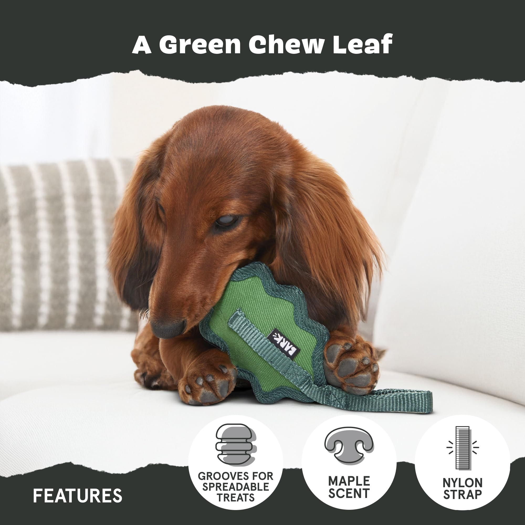 Barkbox Green Chew Leaf Dog Toy For Small Dogs - 2-In-1 Design With Mixed Textures And Surprises, Perfect For Tough Chewing And