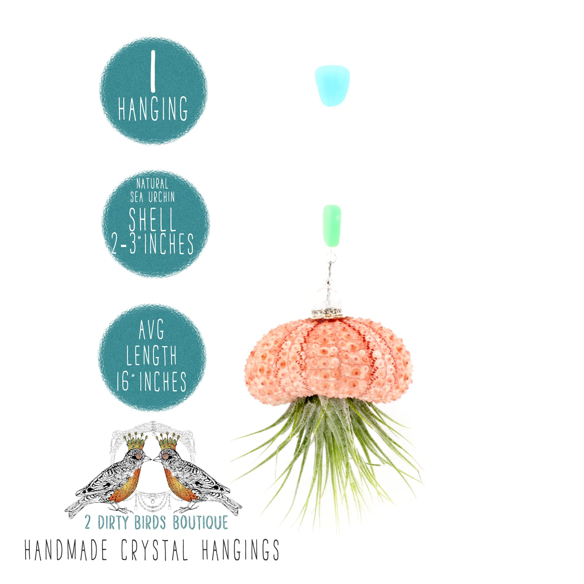 2 Dirty Birds, Handmade Single Peach Hanging Jellyfish Live Air Plants, Sea Urchin Shell W/Sea Glass, Swarovski & Freshwater Pea