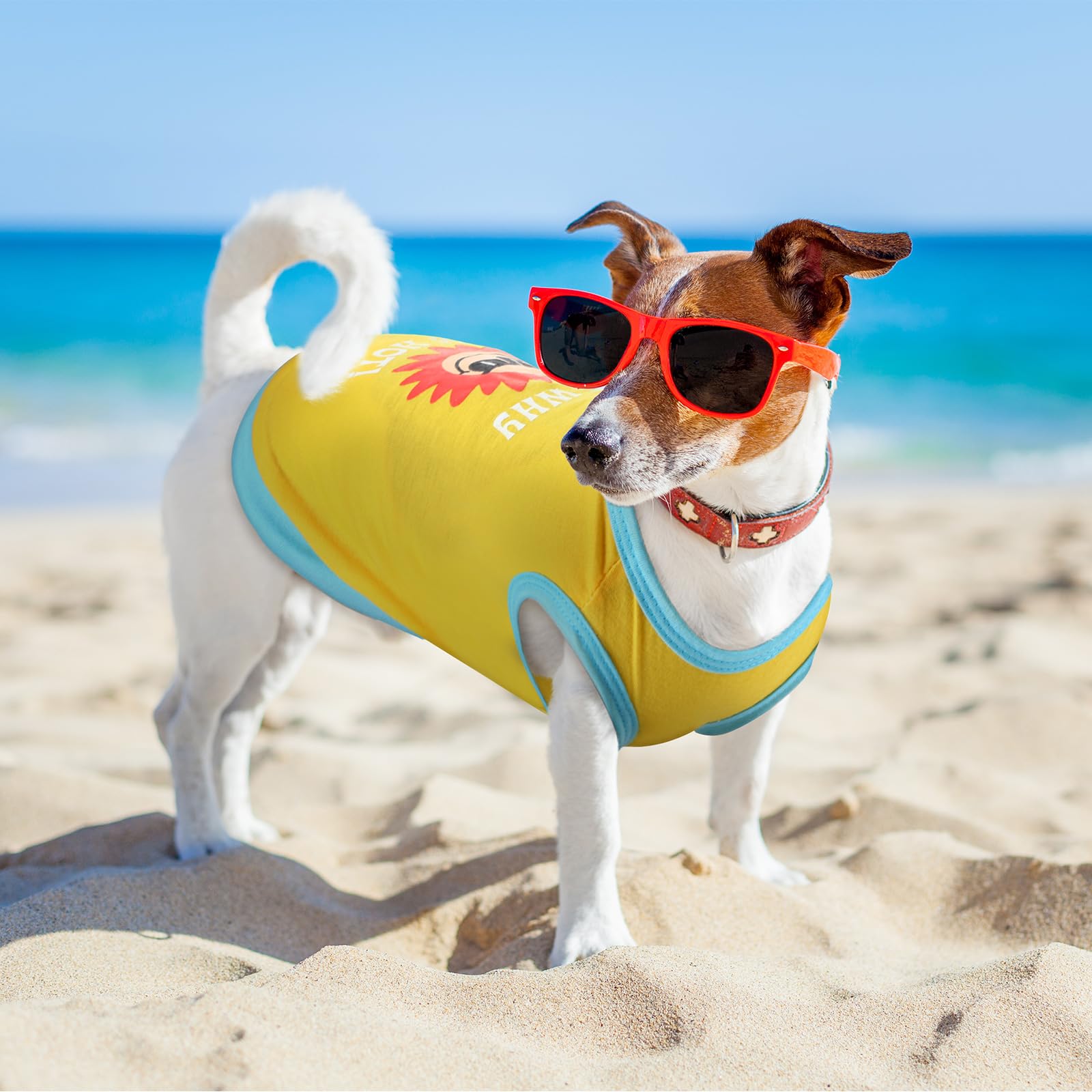 Saintrygo 8 Pieces Dog Shirts Pet Printed Clothes with Funny Letters Summer Pet T Shirts Cool Puppy Breathable Dog Outfit Soft S