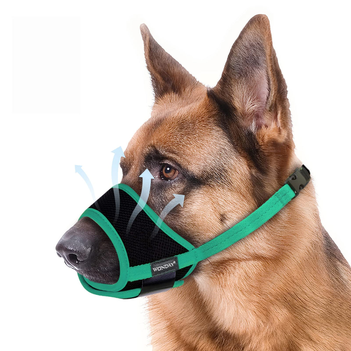 Muzzle For Small Dog, Dog Muzzle For Small Dogs, Small Dog Muzzle, Small Dog Muzzles For Biting Barking Chewing, Soft Muzzle For Small Dogs, Muzzles For Small Dog Puppy S Green