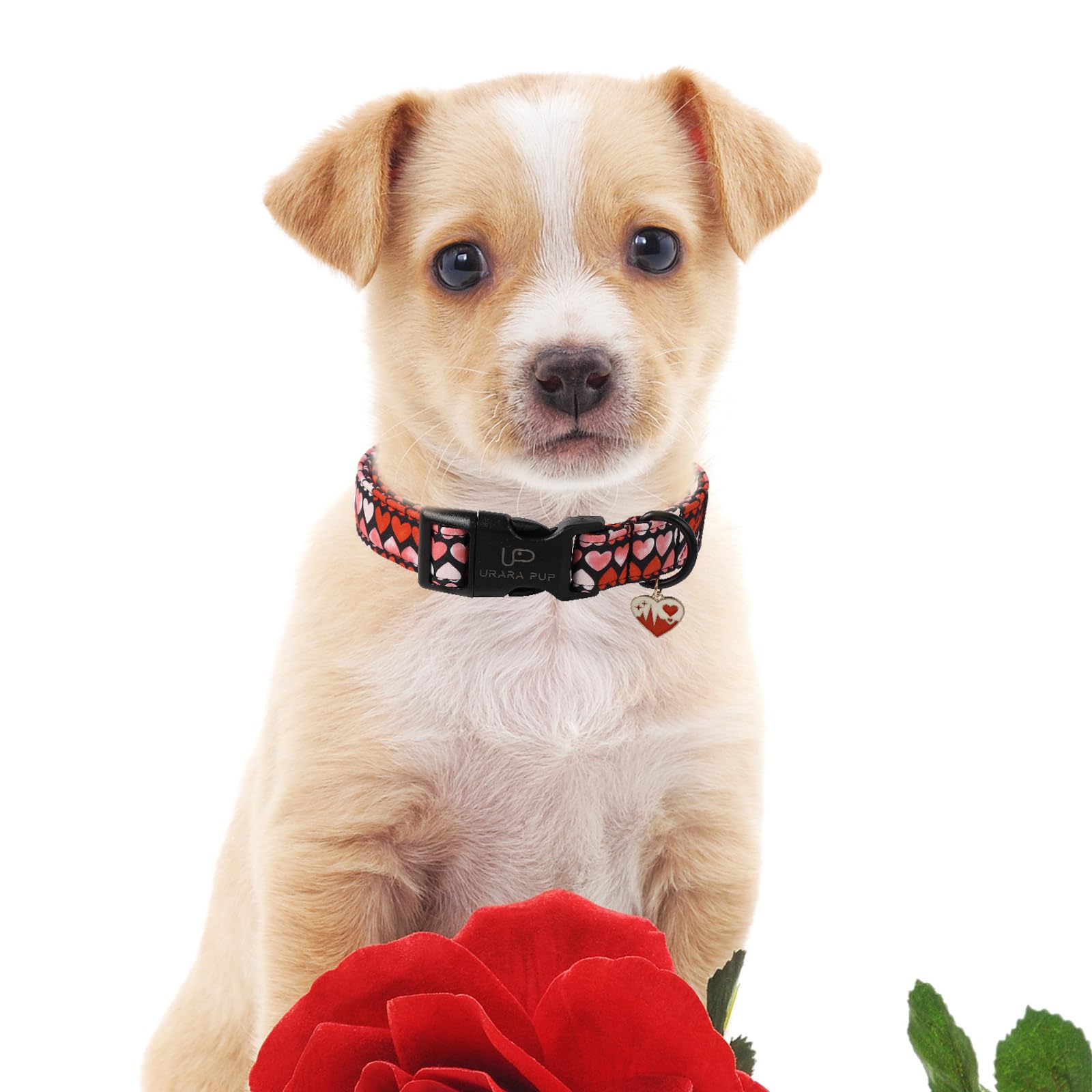 Up Urara Pup Valentines Dog Collar, Pink Heart Dog Collar With Quick Release, Sweet Valentines Gift Soft Cotton Collar Pet Girl
