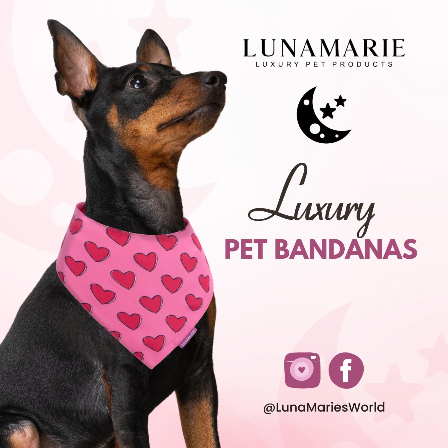 LunaMarie - Luxury Pet Birthday Bandanas -Premium & Silky Poly Fabric | 100% Handmade | Custom Shape Dual Layered (Jennifer, Sma